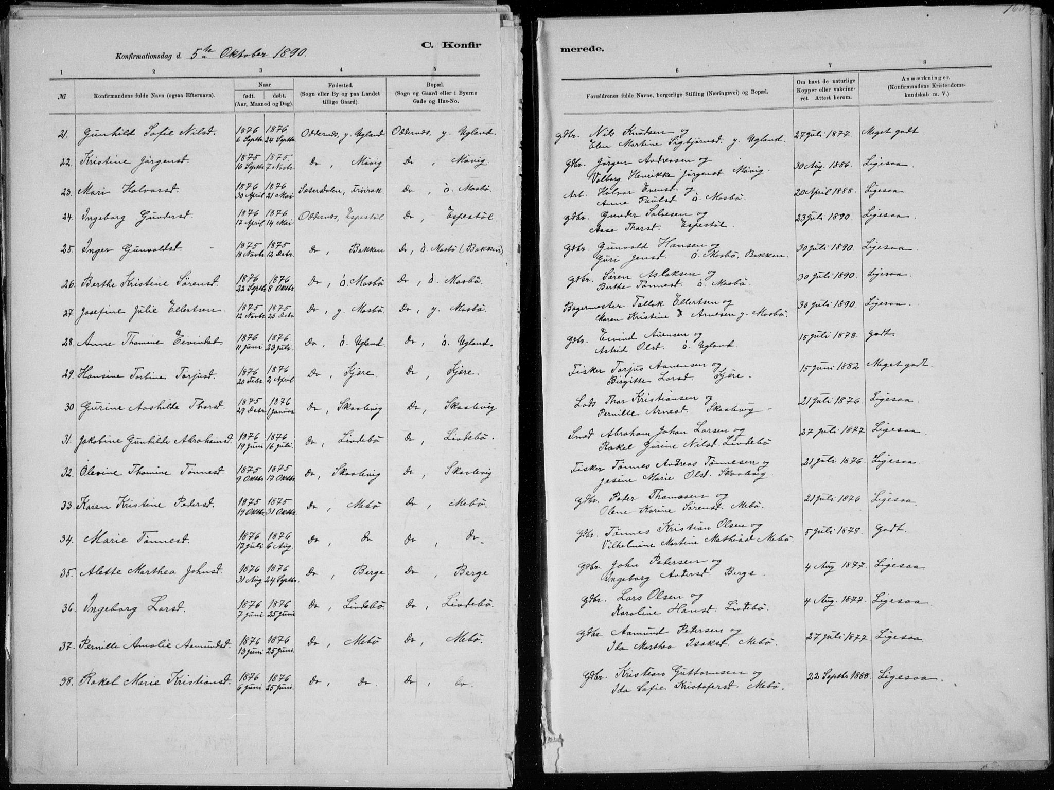 Oddernes sokneprestkontor, AV/SAK-1111-0033/F/Fa/Faa/L0009: Parish register (official) no. A 9, 1884-1896, p. 163