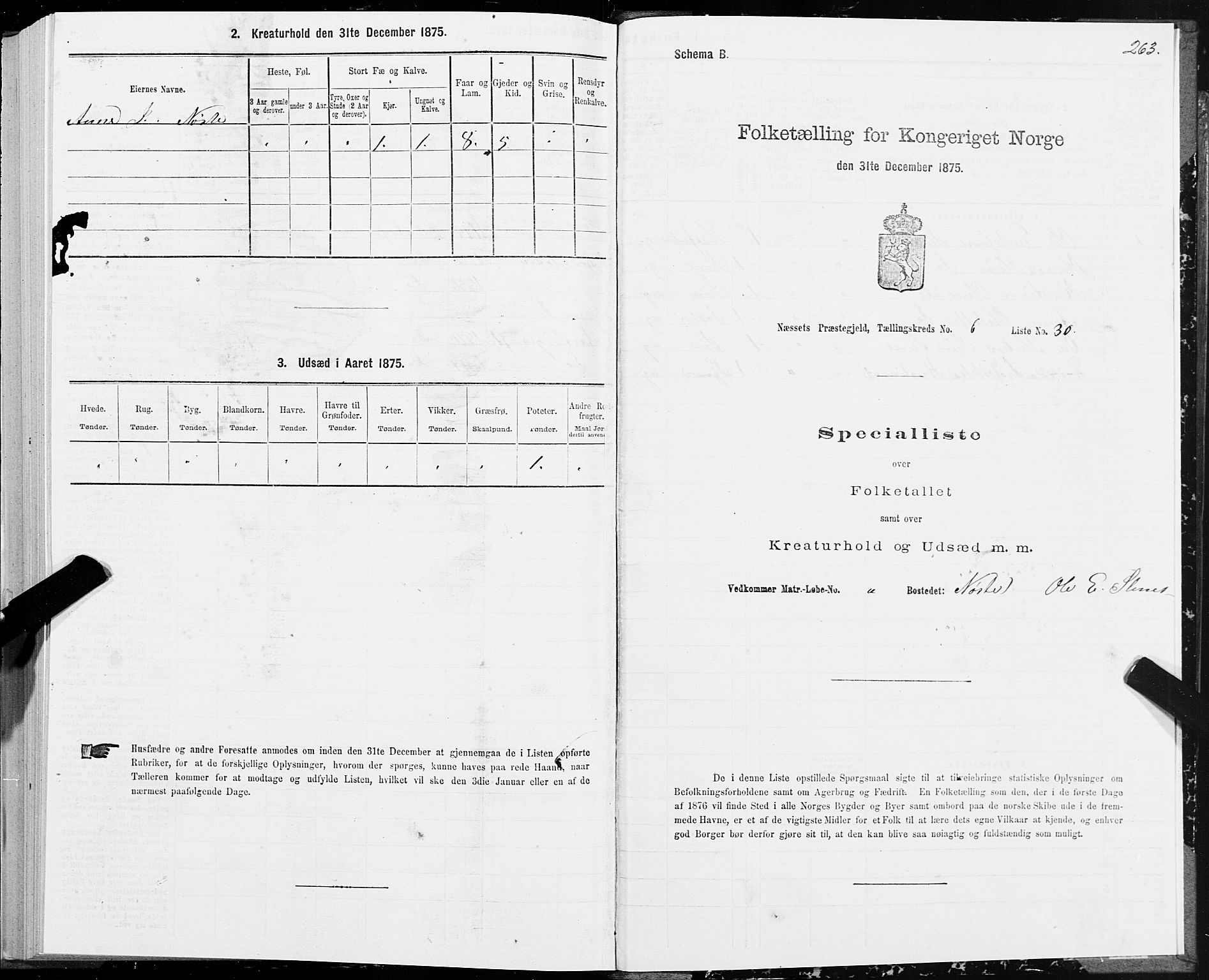 SAT, 1875 census for 1543P Nesset, 1875, p. 3263