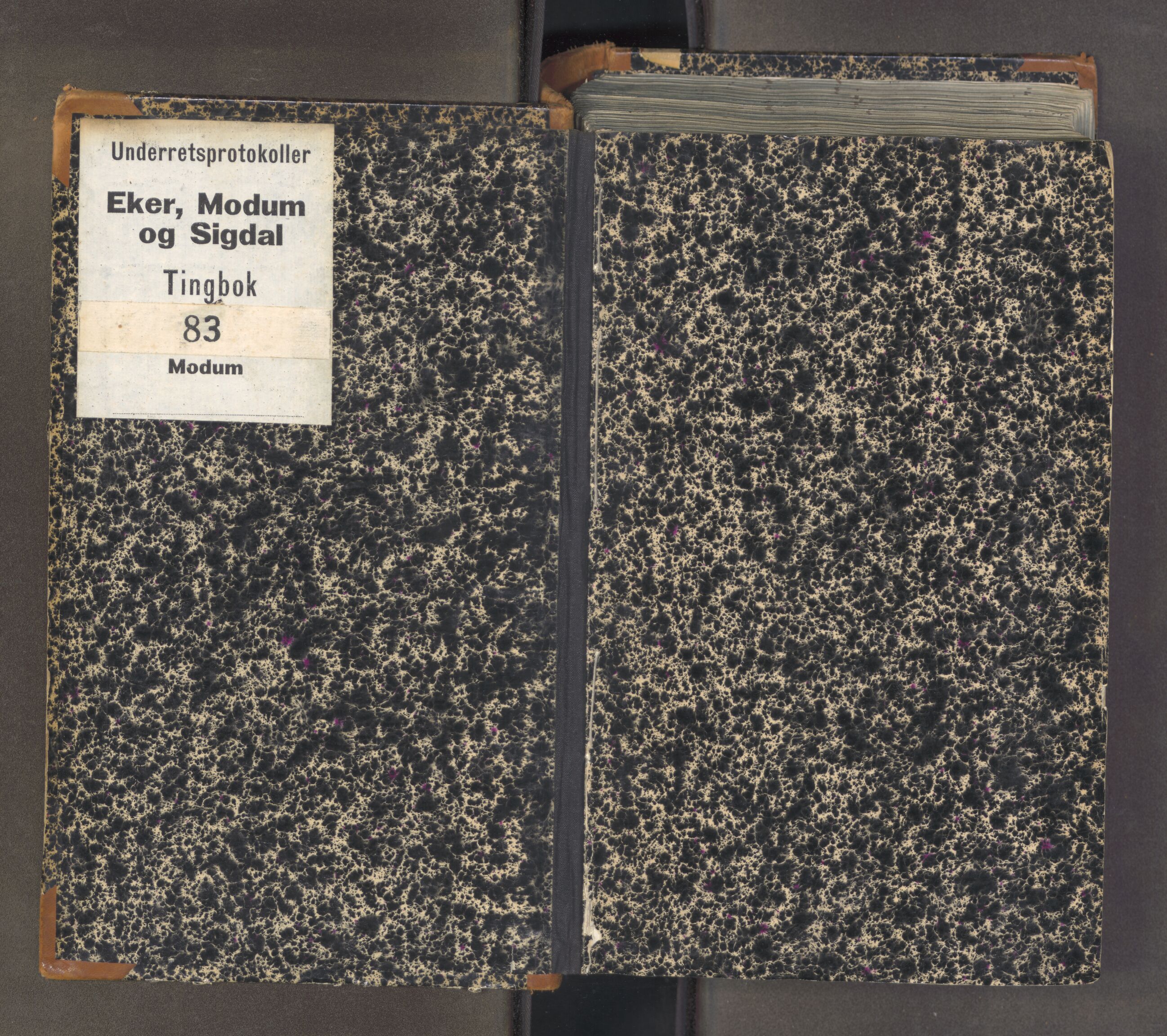 Eiker, Modum og Sigdal sorenskriveri, AV/SAKO-A-123/F/Fa/Fac/L0015: Tingbok, 1826-1831