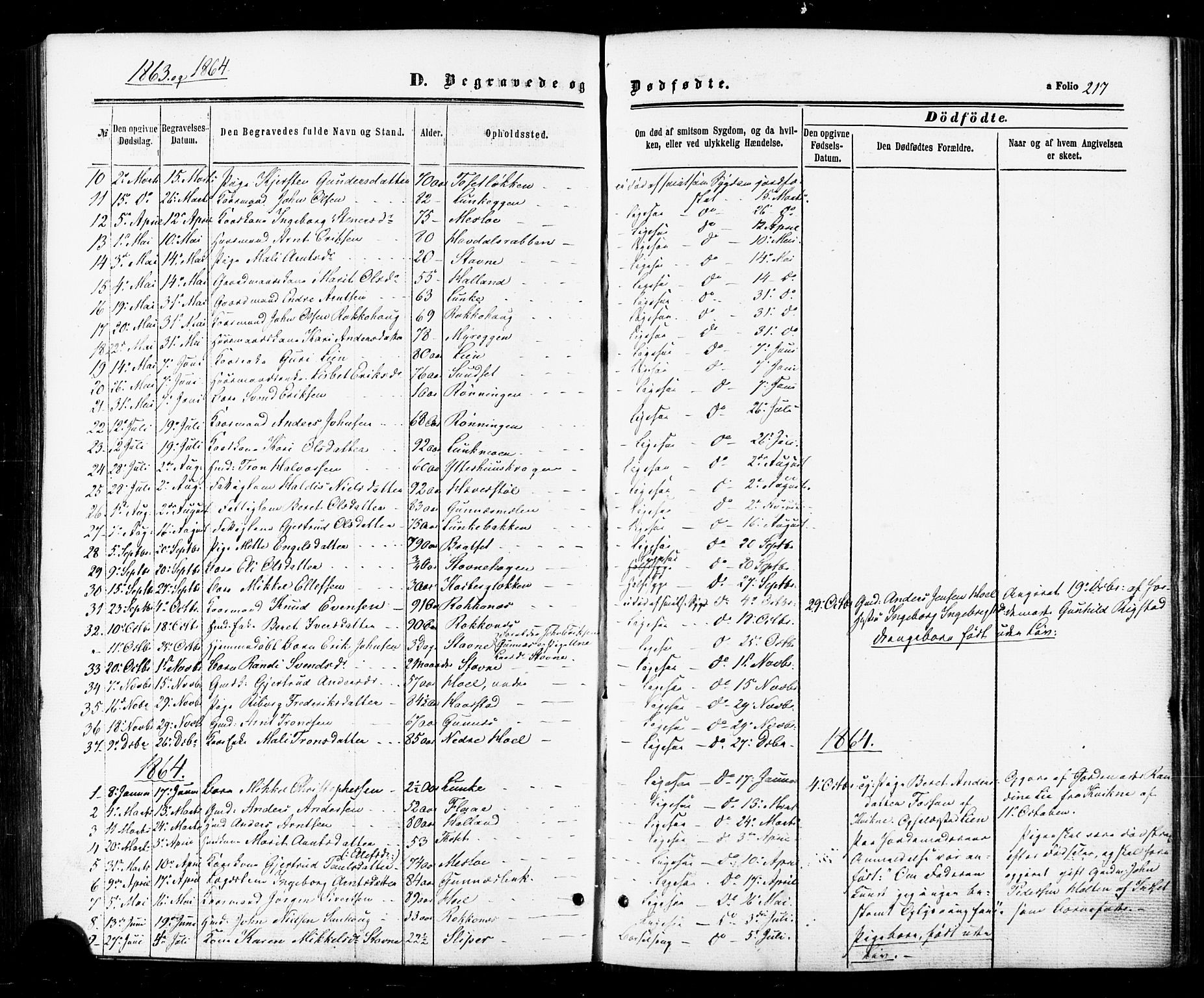 Ministerialprotokoller, klokkerbøker og fødselsregistre - Sør-Trøndelag, SAT/A-1456/674/L0870: Parish register (official) no. 674A02, 1861-1879, p. 217