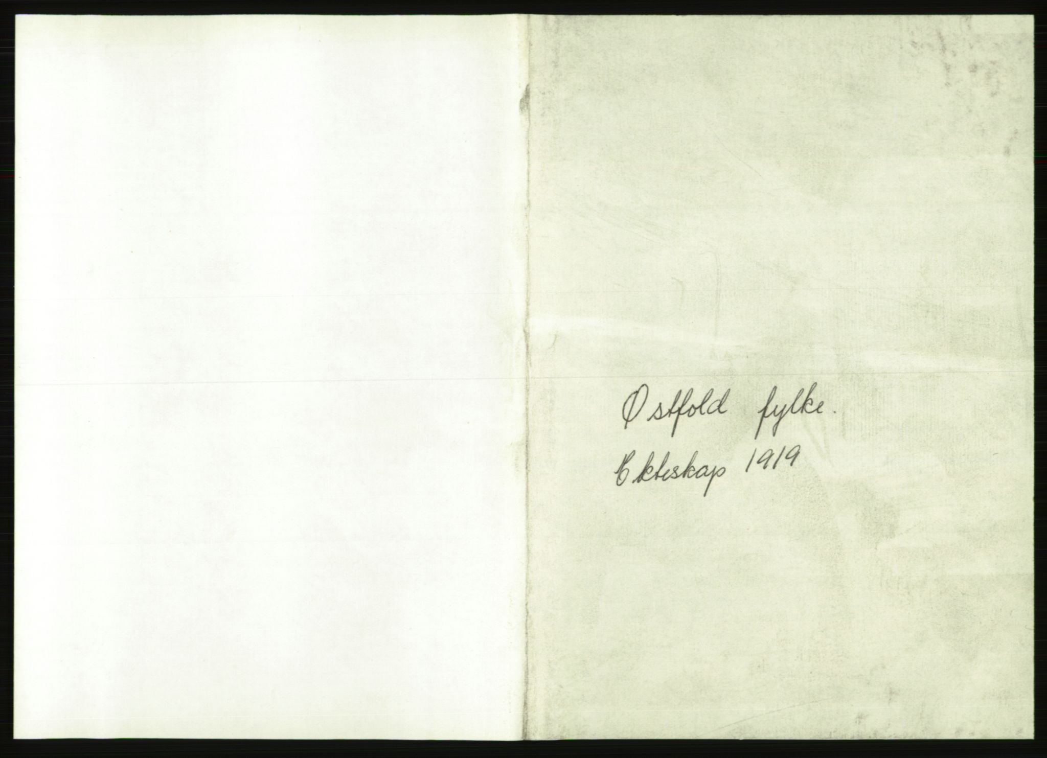 Statistisk sentralbyrå, Sosiodemografiske emner, Befolkning, AV/RA-S-2228/E/L0017: Fødte, gifte, døde dissentere., 1919, p. 1201