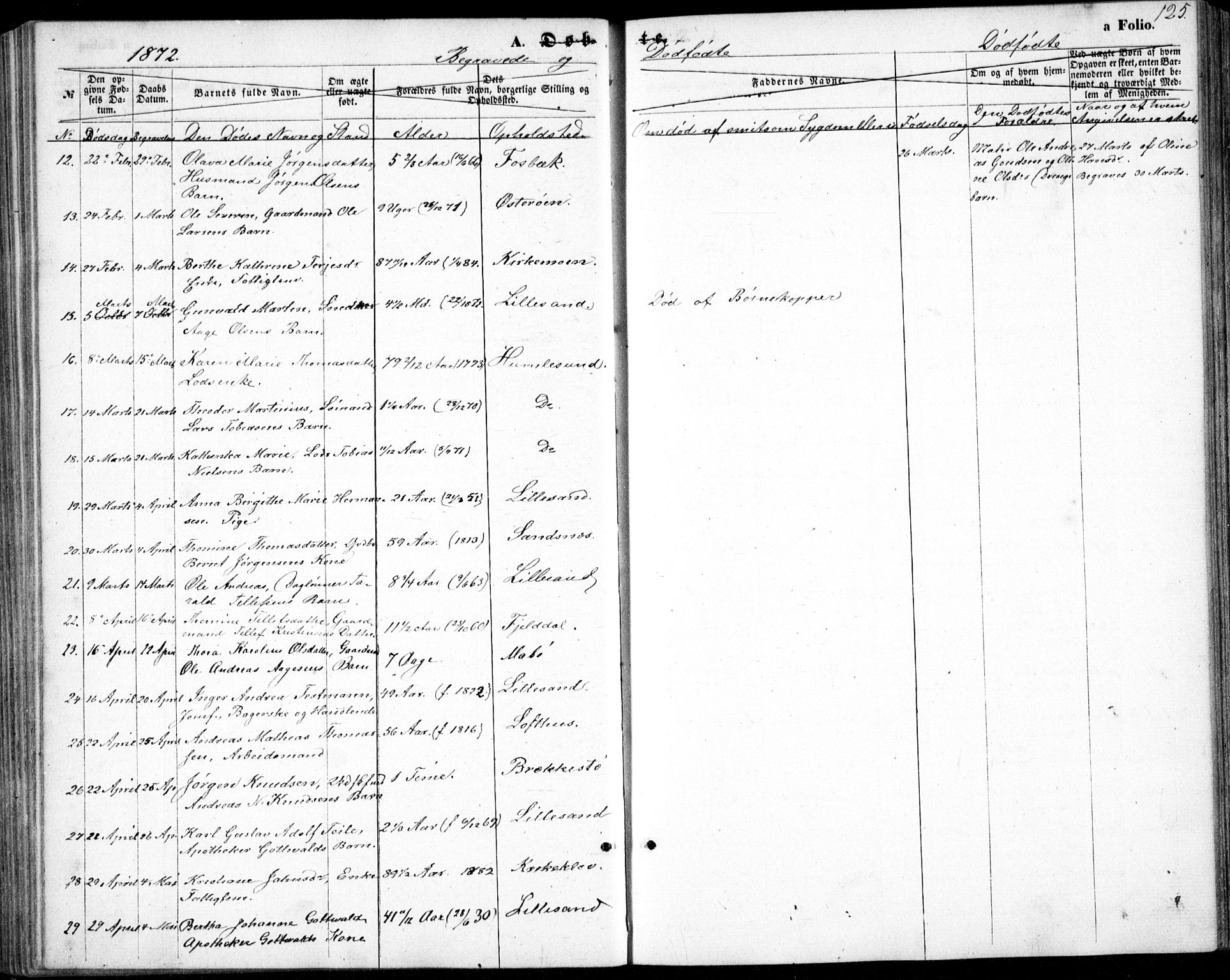 Vestre Moland sokneprestkontor, AV/SAK-1111-0046/F/Fb/Fbb/L0004: Parish register (copy) no. B 4, 1861-1872, p. 125