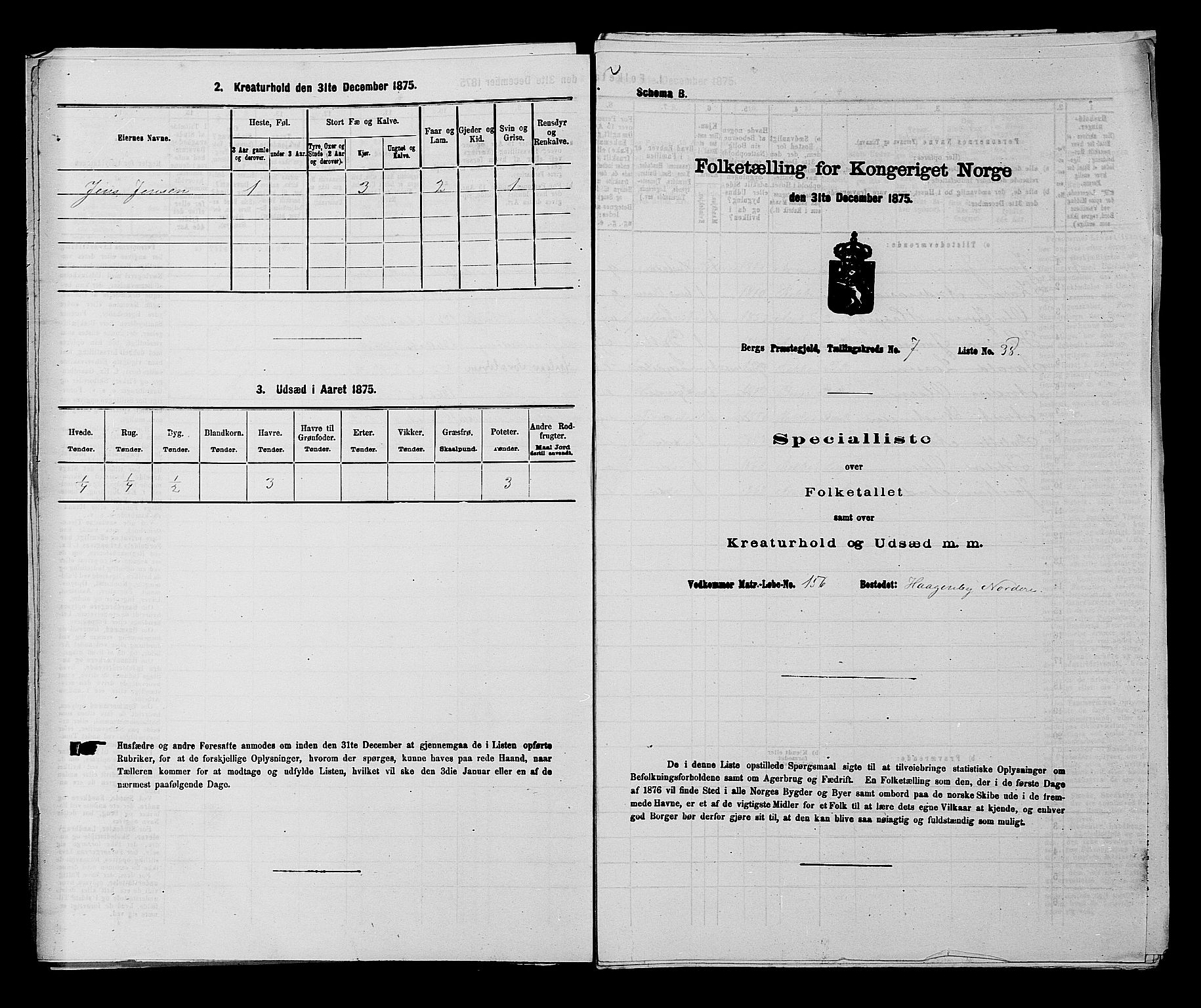 RA, 1875 census for 0116P Berg, 1875, p. 1084