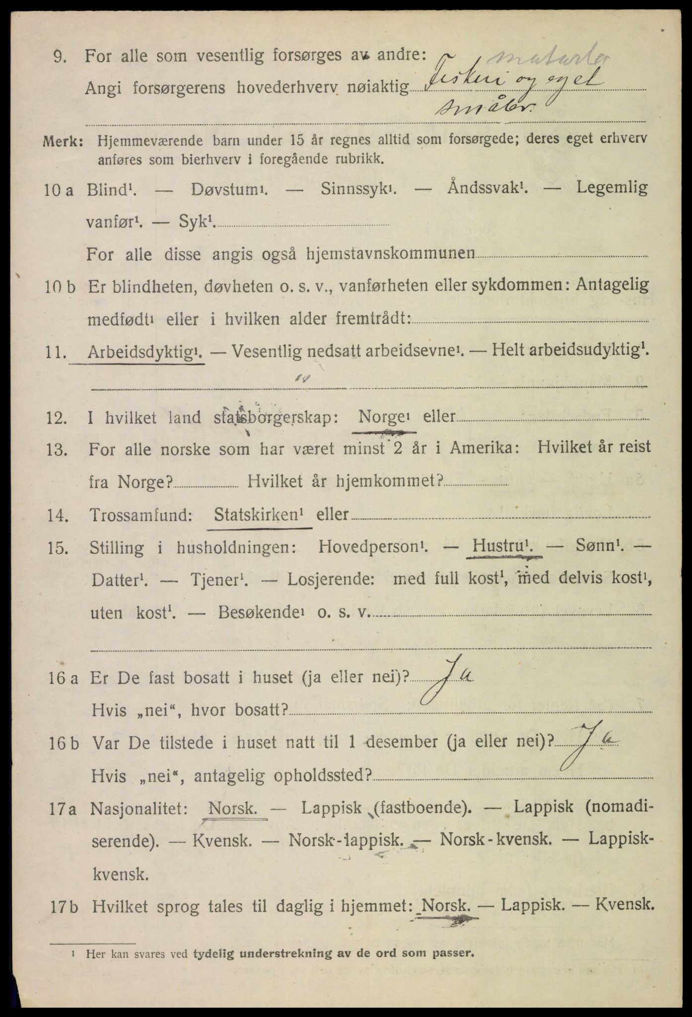 SAT, 1920 census for Bø, 1920, p. 10383