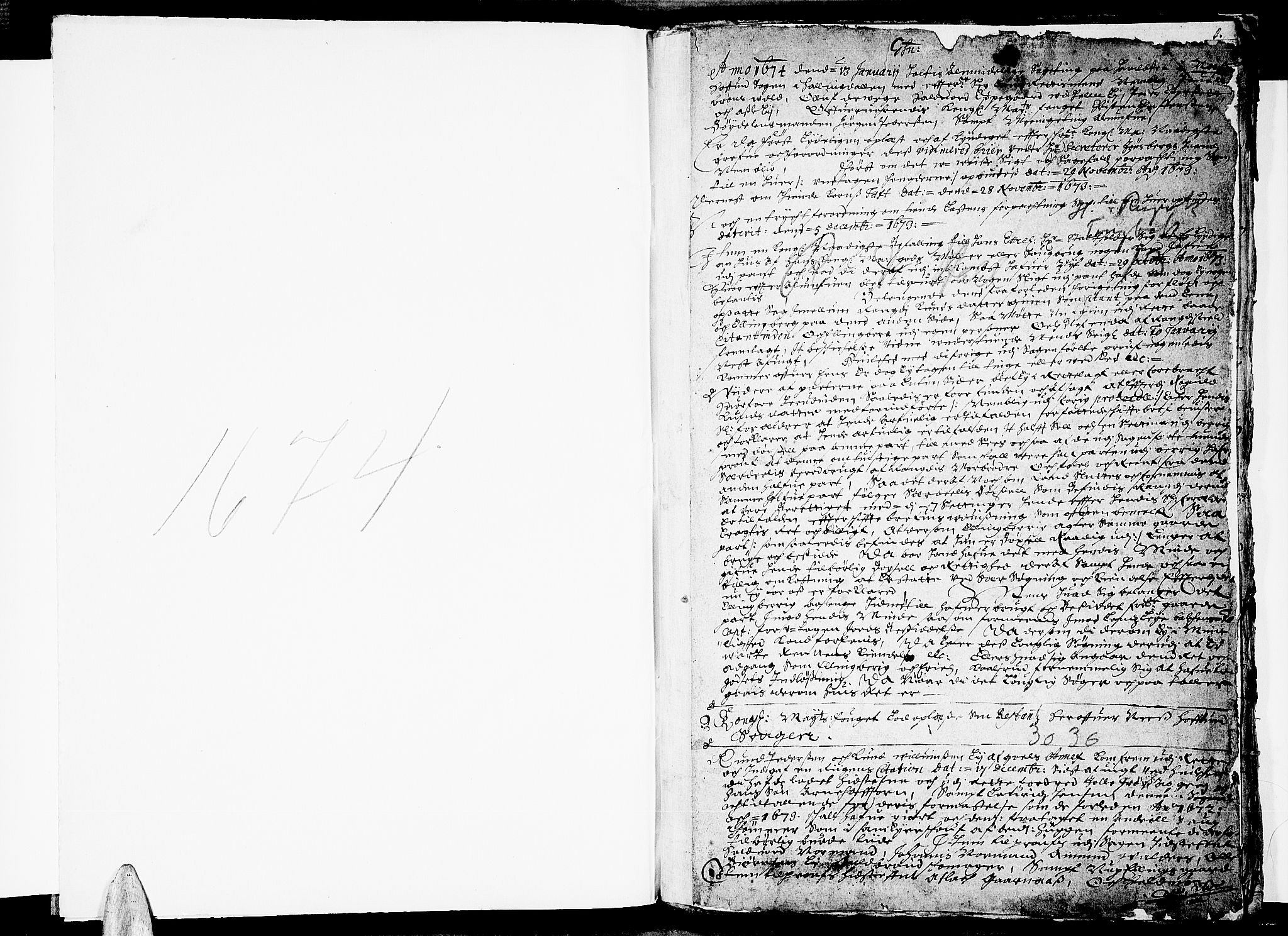 Ringerike og Hallingdal sorenskriveri, SAKO/A-81/F/Fa/Fab/L0003: Tingbok - Sorenskriveriet, 1674, p. 1