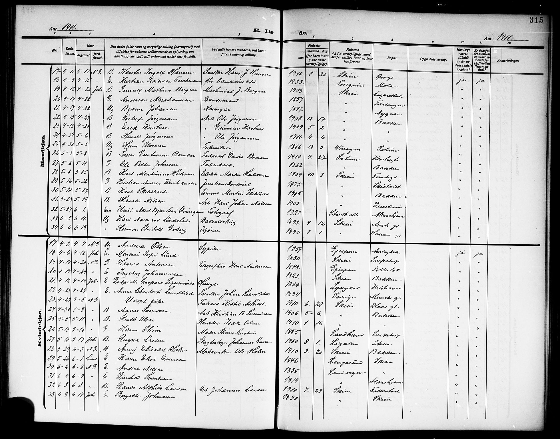 Skien kirkebøker, SAKO/A-302/G/Ga/L0009: Parish register (copy) no. 9, 1910-1920, p. 315