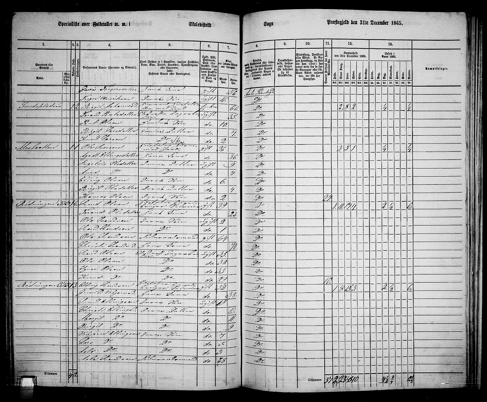 RA, 1865 census for Ål, 1865, p. 190