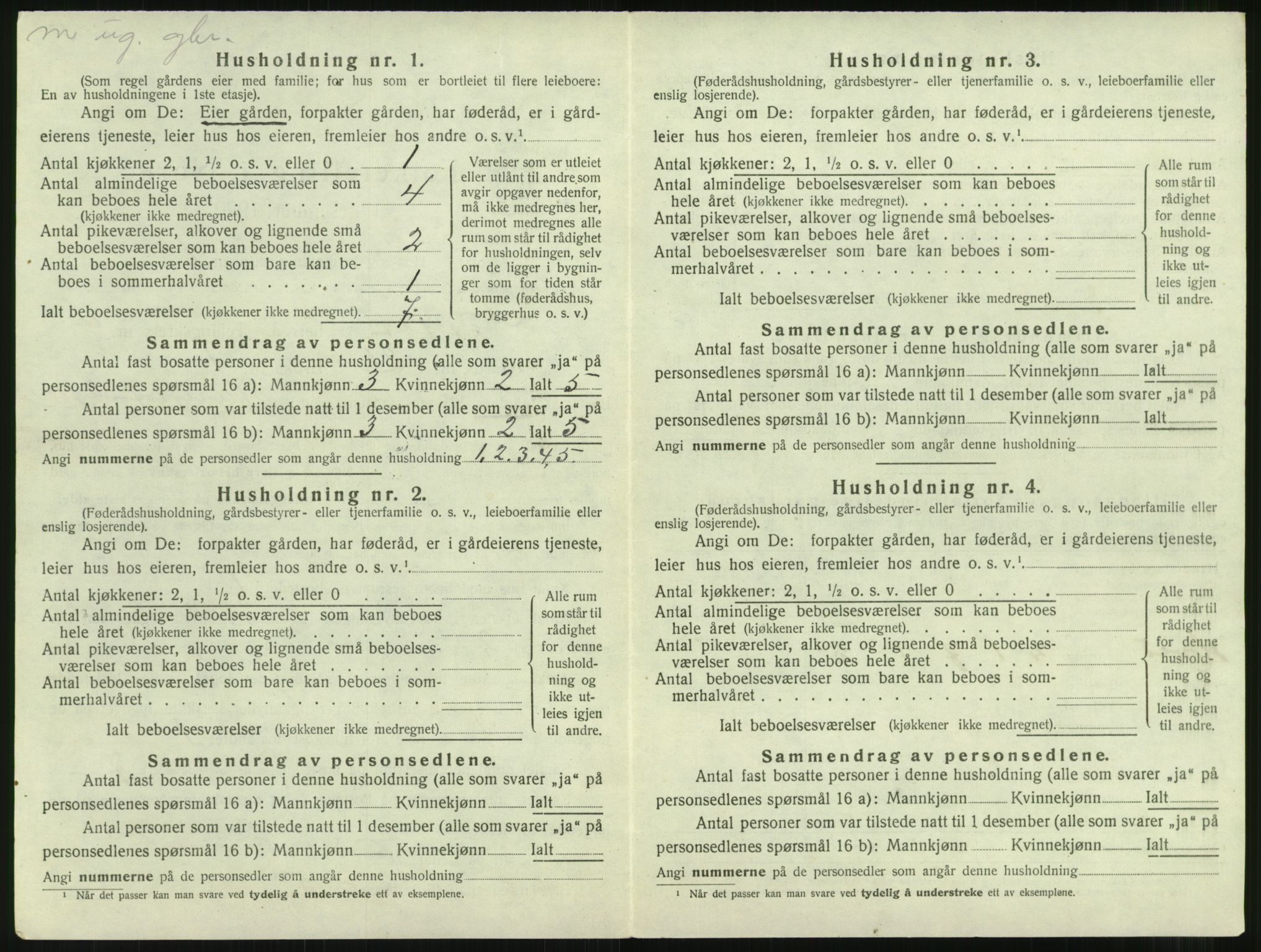 SAT, 1920 census for Nesset, 1920, p. 309