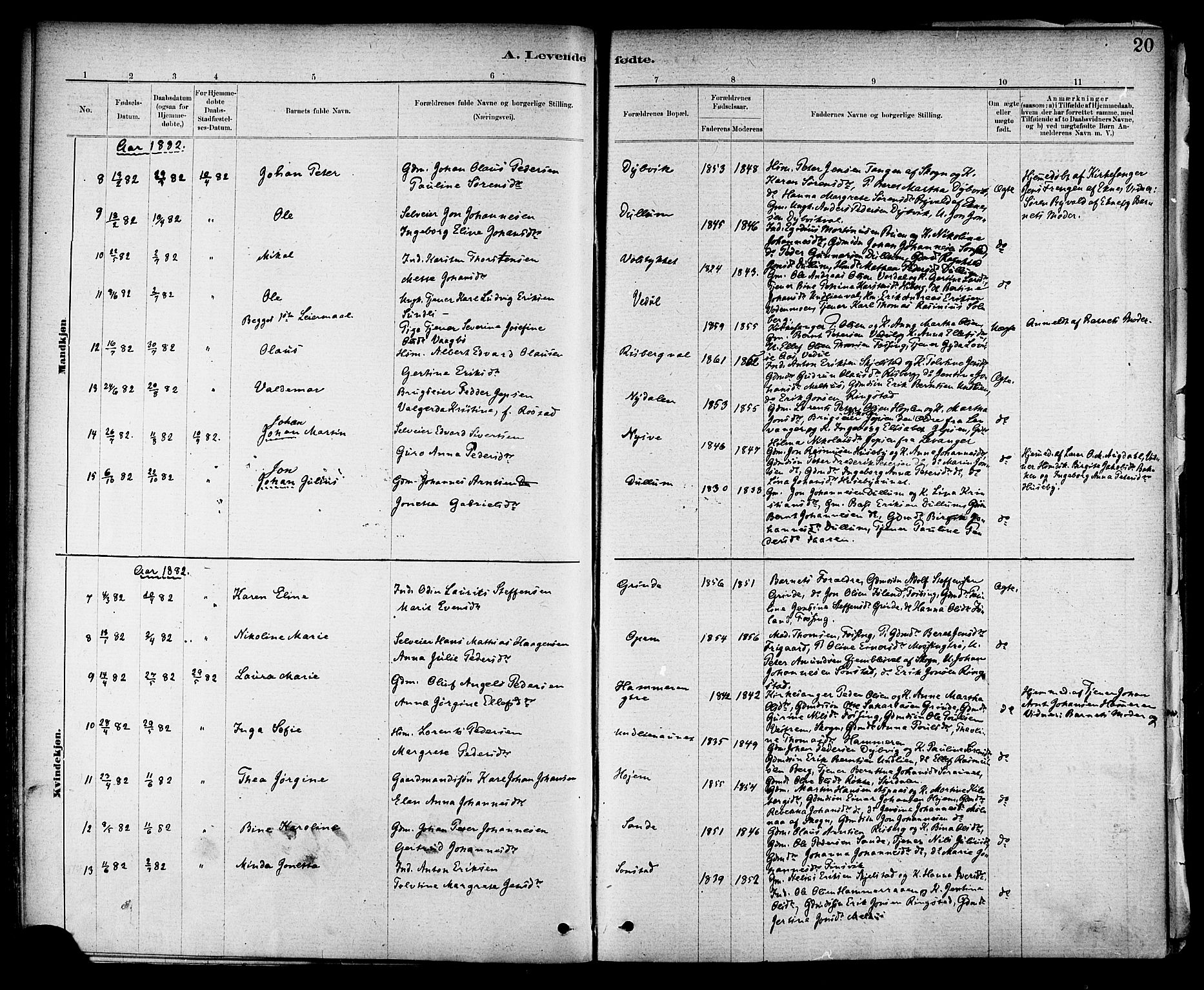 Ministerialprotokoller, klokkerbøker og fødselsregistre - Nord-Trøndelag, AV/SAT-A-1458/714/L0130: Parish register (official) no. 714A01, 1878-1895, p. 20
