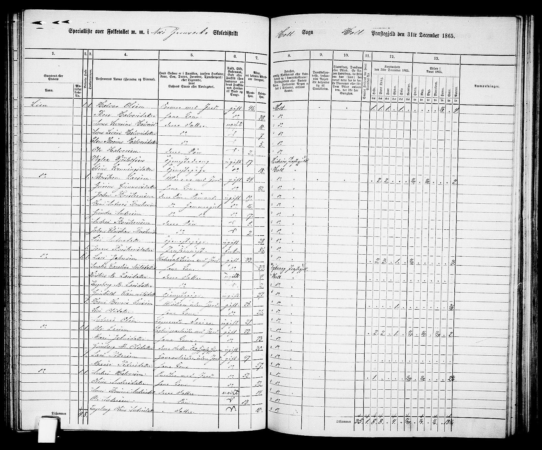 RA, 1865 census for Holt/Holt, 1865, p. 108