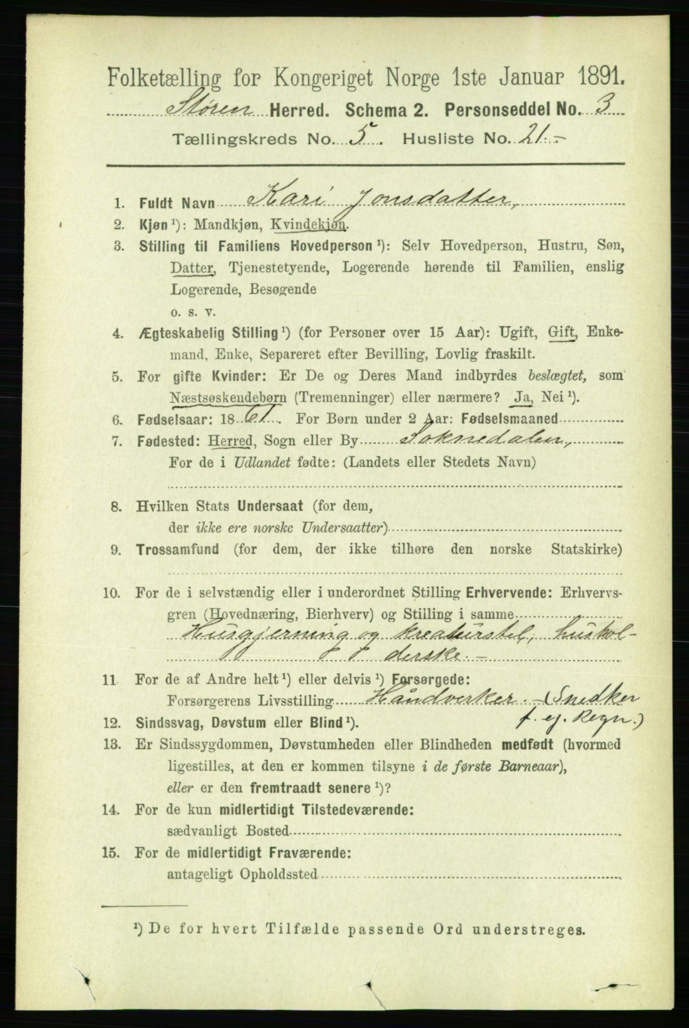 RA, 1891 census for 1648 Støren, 1891, p. 2057