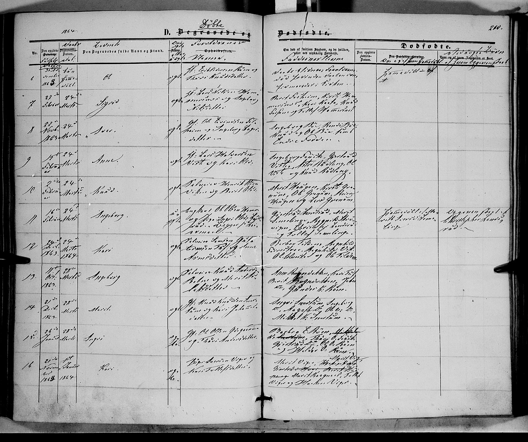 Vestre Slidre prestekontor, SAH/PREST-136/H/Ha/Haa/L0002: Parish register (official) no. 2, 1856-1864, p. 210