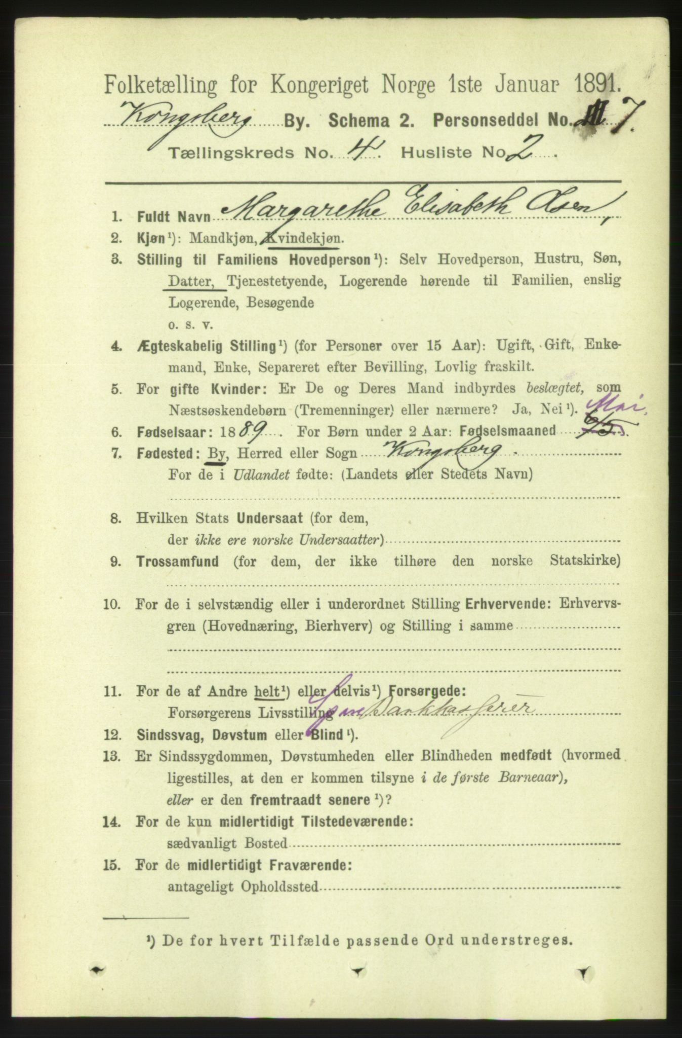 RA, 1891 census for 0604 Kongsberg, 1891, p. 3517