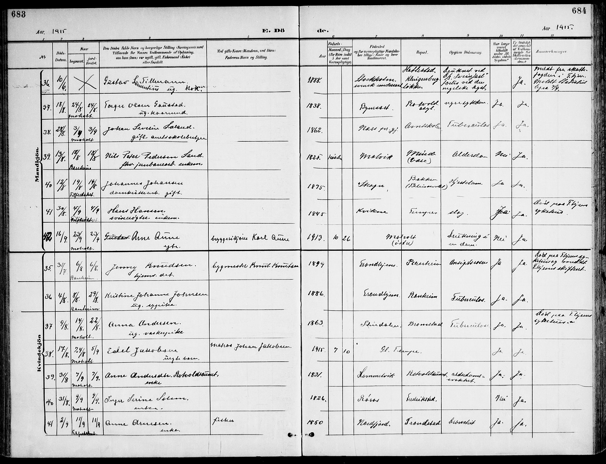 Ministerialprotokoller, klokkerbøker og fødselsregistre - Sør-Trøndelag, SAT/A-1456/607/L0320: Parish register (official) no. 607A04, 1907-1915, p. 683-684