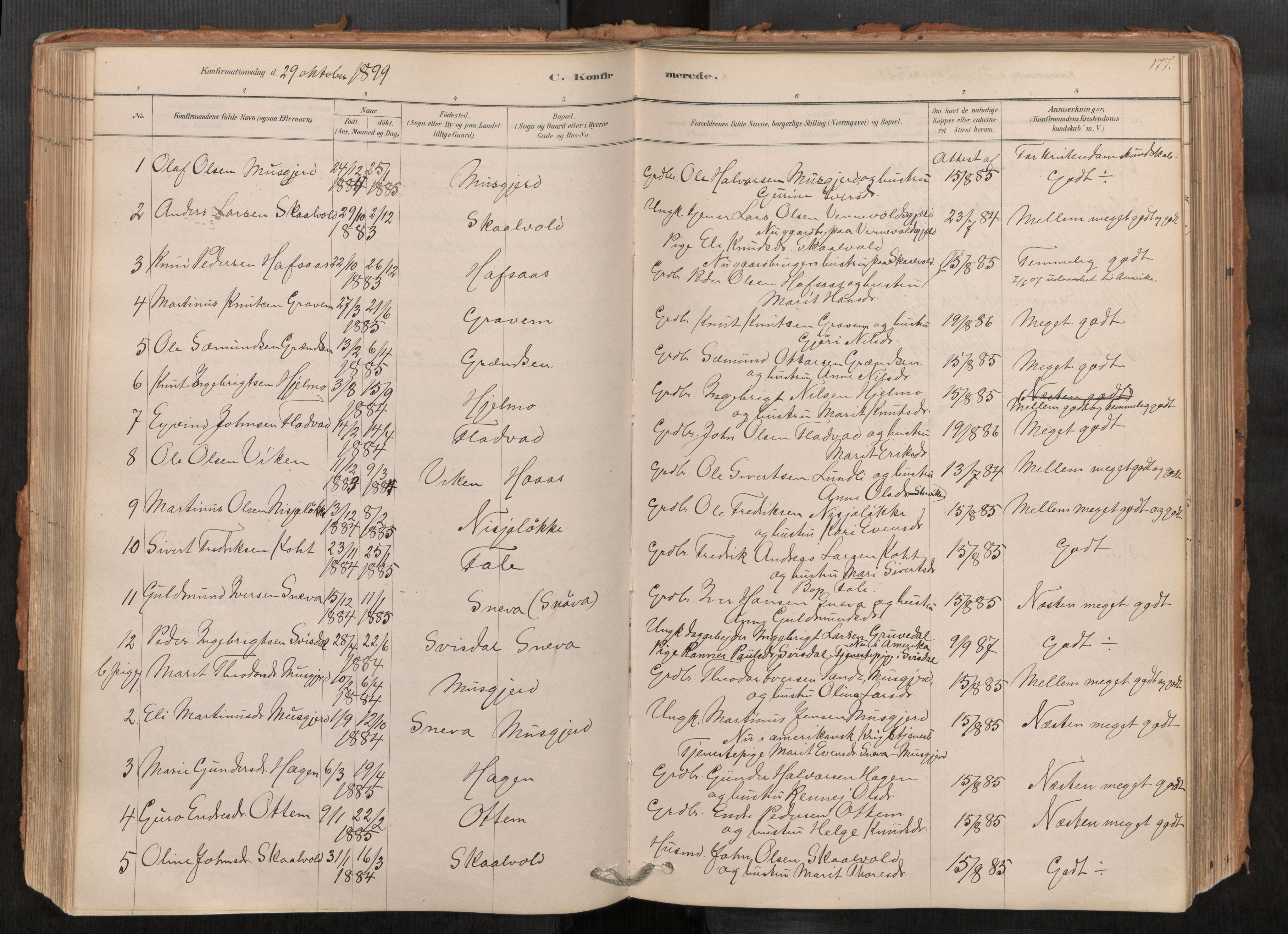 Sunndal sokneprestkontor, AV/SAT-A-1085/1/I/I1/I1a/L0001: Parish register (official) no. 1, 1877-1914, p. 177