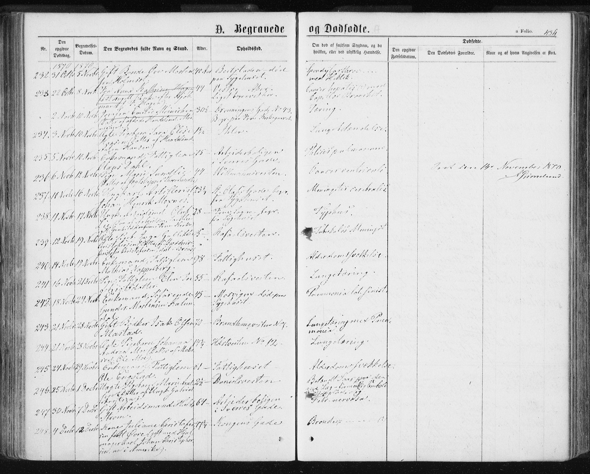 Ministerialprotokoller, klokkerbøker og fødselsregistre - Sør-Trøndelag, SAT/A-1456/601/L0055: Parish register (official) no. 601A23, 1866-1877, p. 434