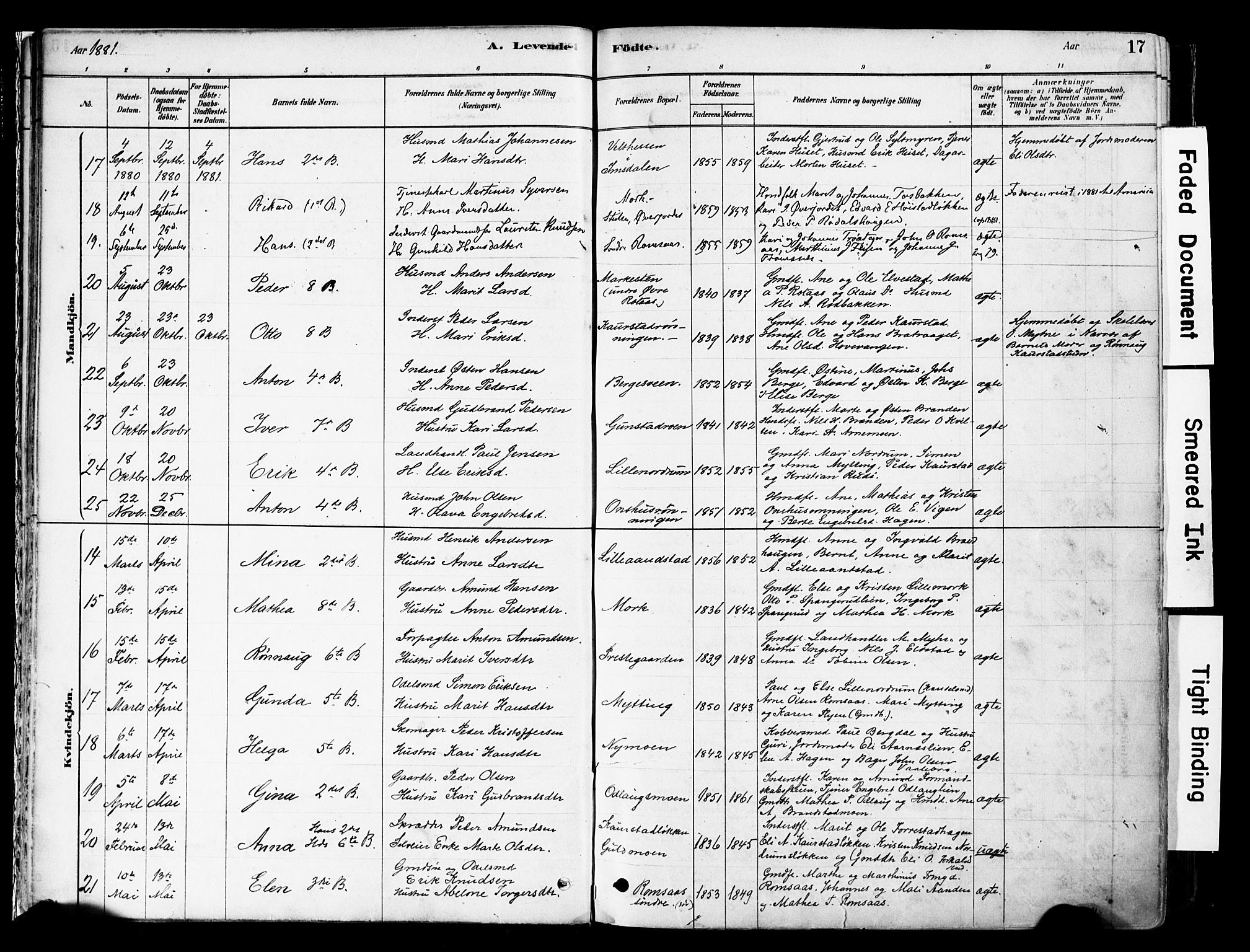 Ringebu prestekontor, AV/SAH-PREST-082/H/Ha/Haa/L0008: Parish register (official) no. 8, 1878-1898, p. 17