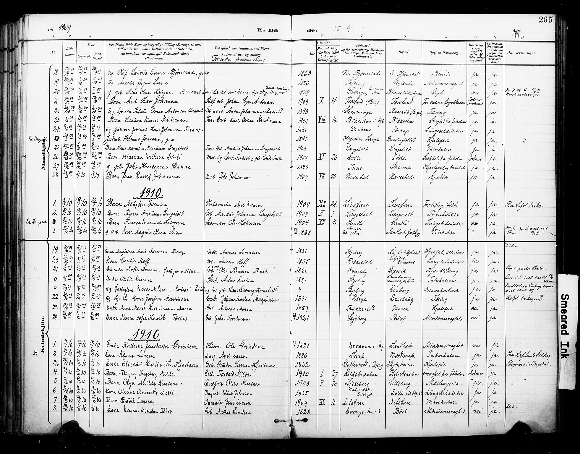 Skjeberg prestekontor Kirkebøker, SAO/A-10923/F/Fa/L0010: Parish register (official) no. I 10, 1898-1911, p. 265