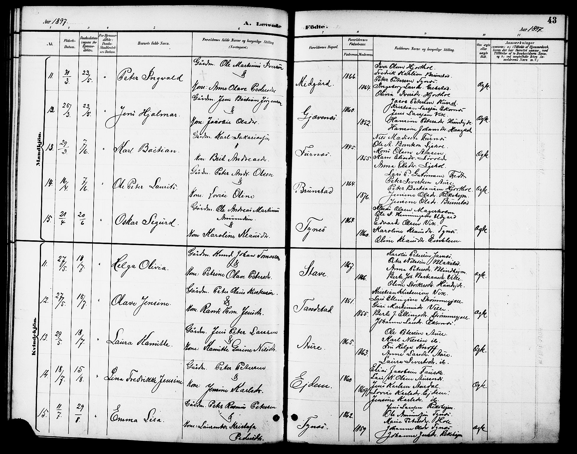 Ministerialprotokoller, klokkerbøker og fødselsregistre - Møre og Romsdal, AV/SAT-A-1454/523/L0340: Parish register (copy) no. 523C03, 1892-1902, p. 43