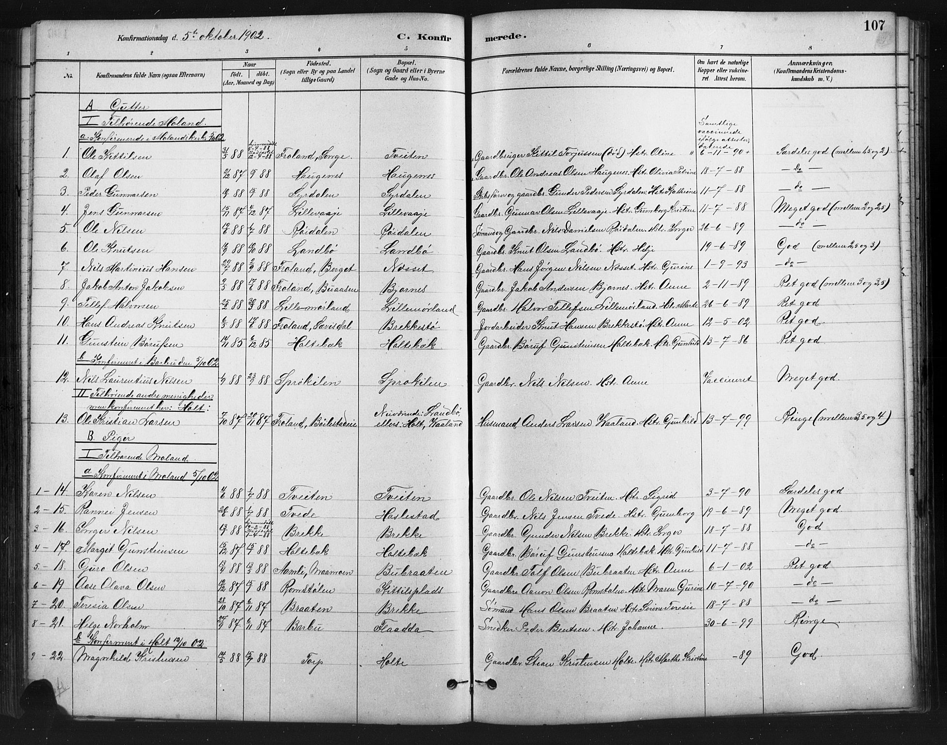 Austre Moland sokneprestkontor, SAK/1111-0001/F/Fb/Fba/L0003: Parish register (copy) no. B 3, 1879-1914, p. 107