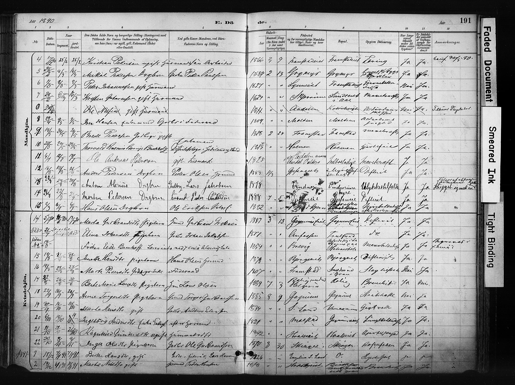 Gran prestekontor, SAH/PREST-112/H/Ha/Haa/L0017: Parish register (official) no. 17, 1889-1897, p. 191