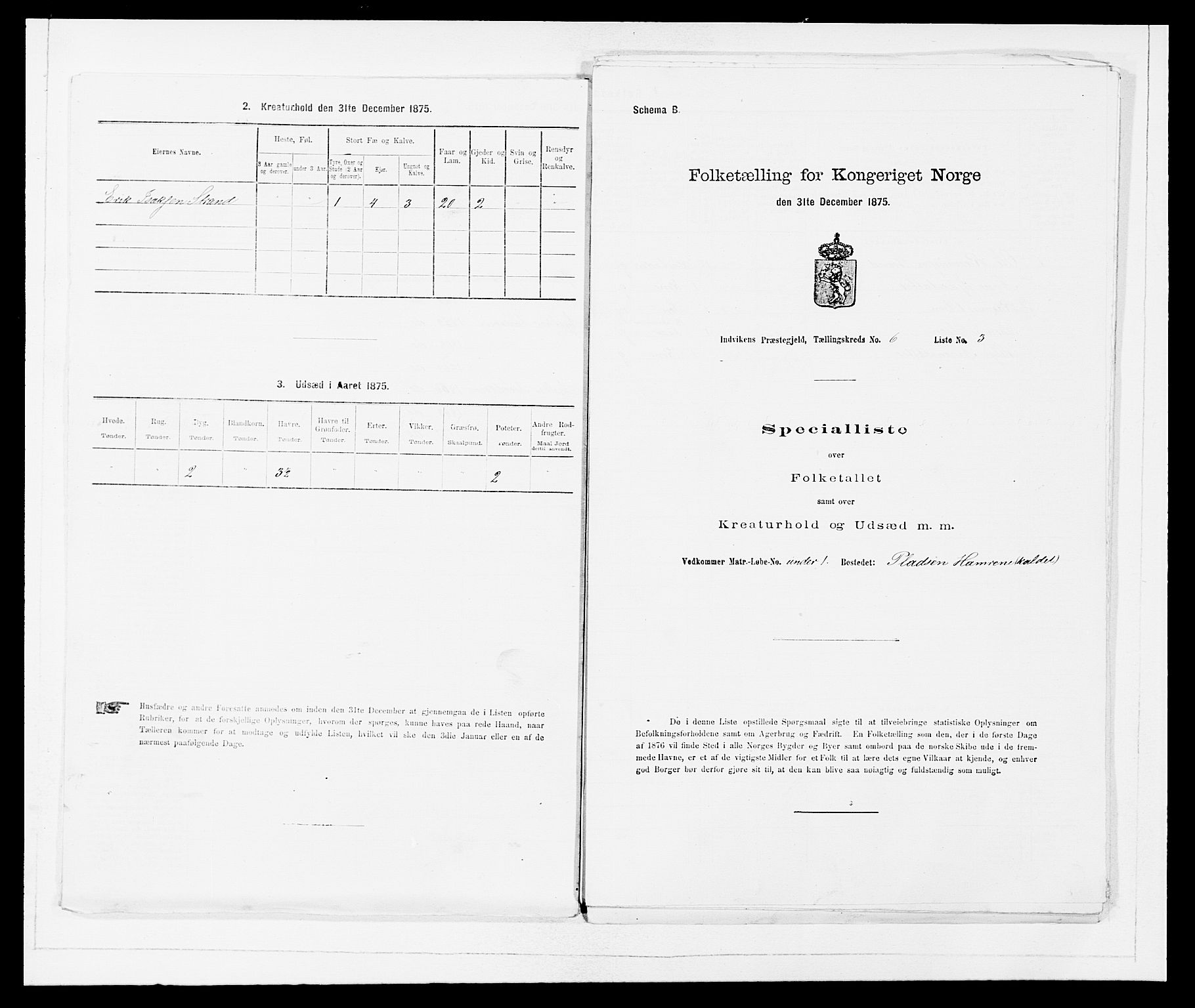 SAB, 1875 Census for 1447P Innvik, 1875, p. 618