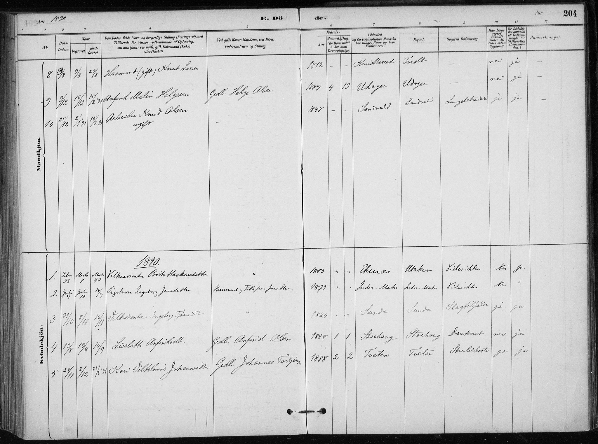 Skånevik sokneprestembete, AV/SAB-A-77801/H/Haa: Parish register (official) no. C  1, 1879-1917, p. 204