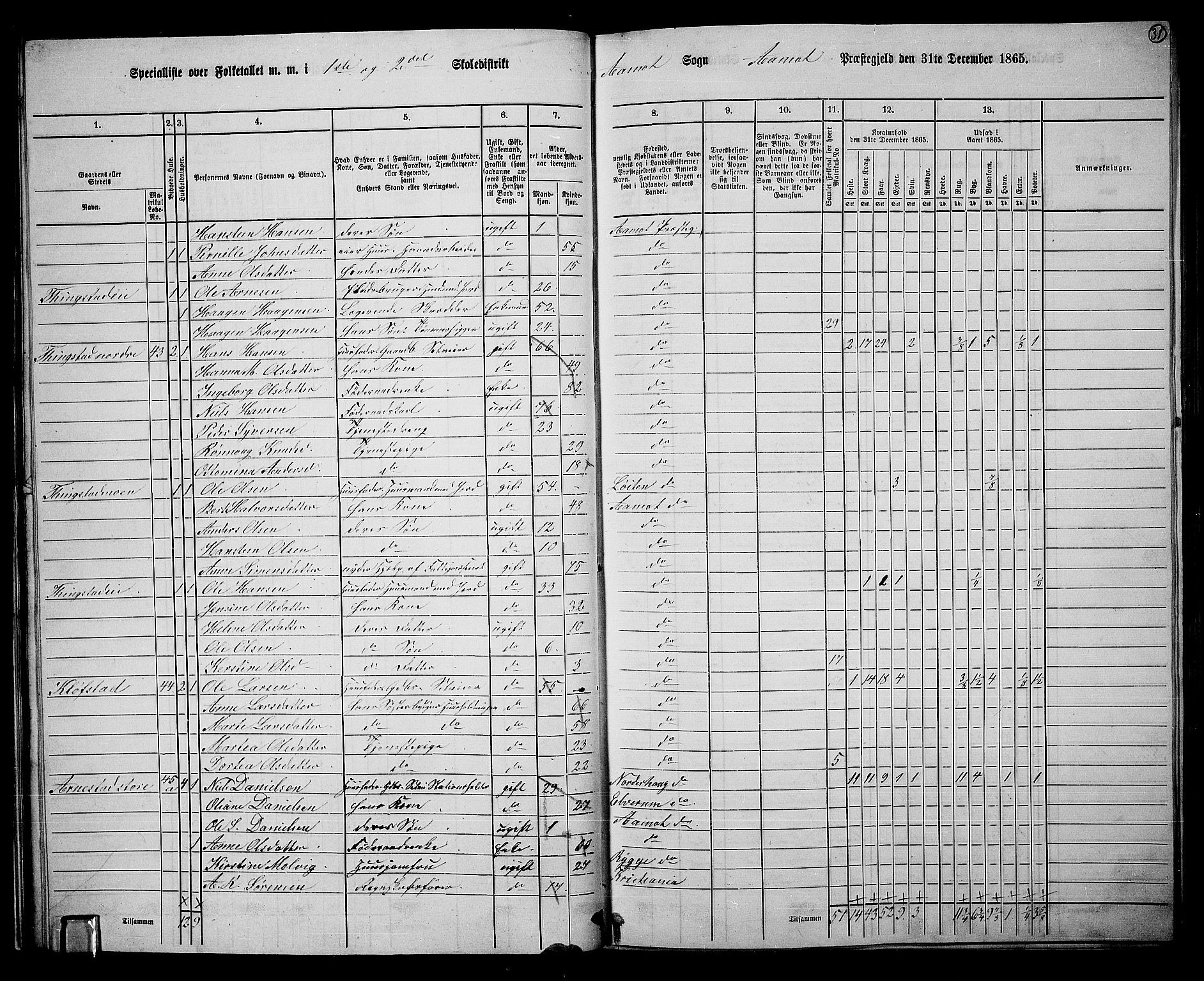 RA, 1865 census for Åmot, 1865, p. 29