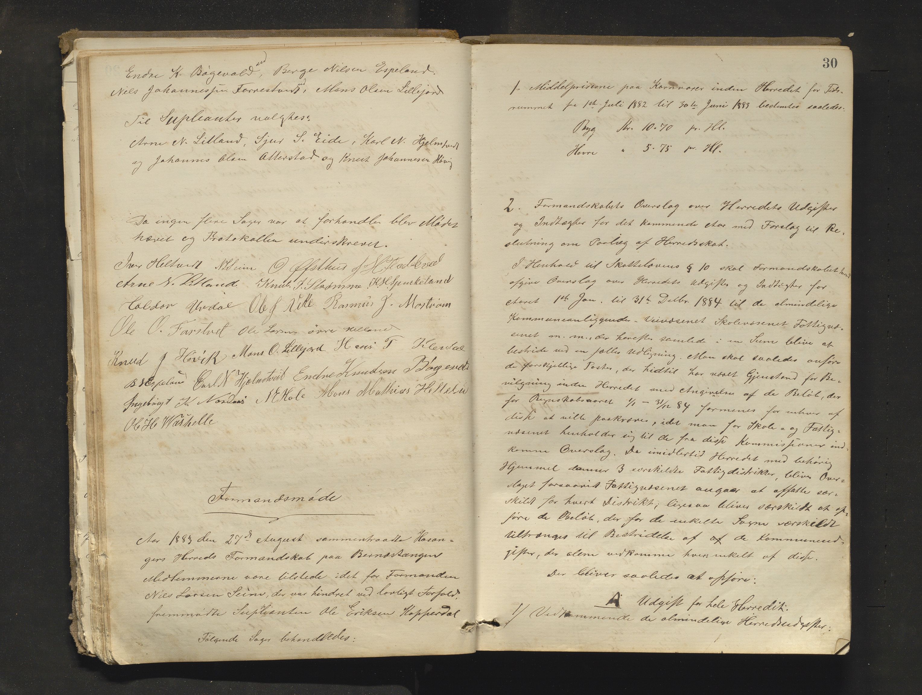 Hosanger kommune. Formannskapet, IKAH/1253a-021/A/Aa/L0003: Møtebok for Hosanger formannskap, heradsstyre og Hosanger soknestyre, 1881-1893, p. 30