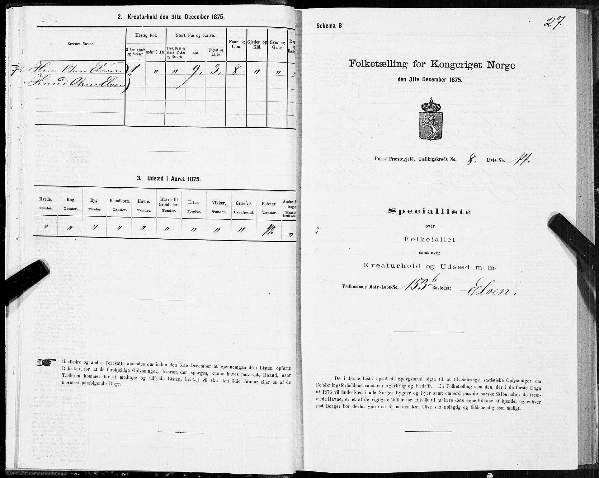 SAT, 1875 census for 1640P Røros, 1875, p. 5027