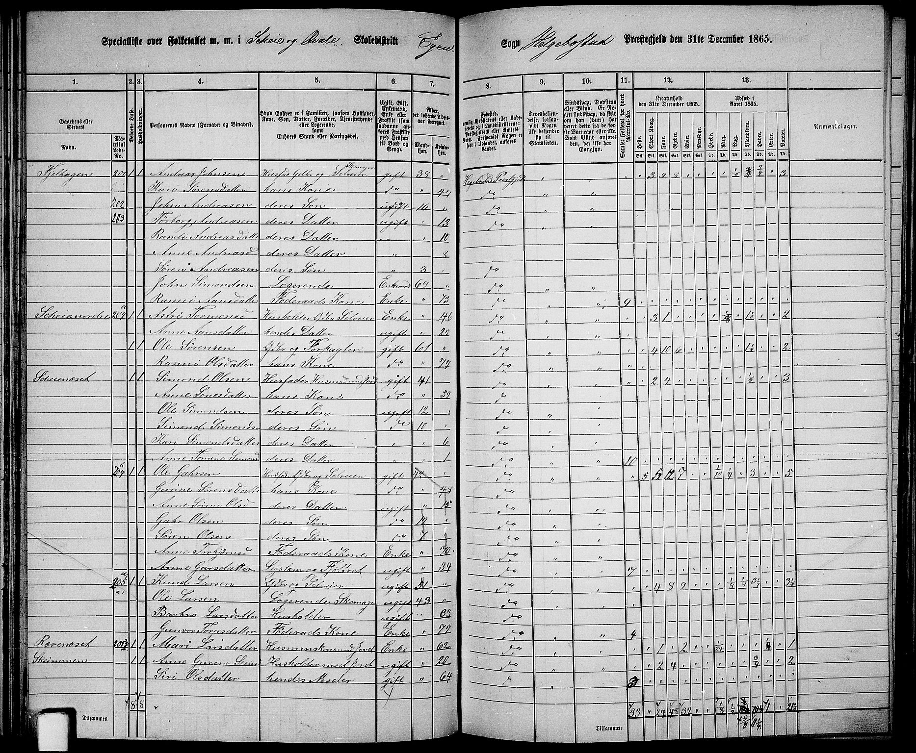 RA, 1865 census for Hægebostad, 1865, p. 67