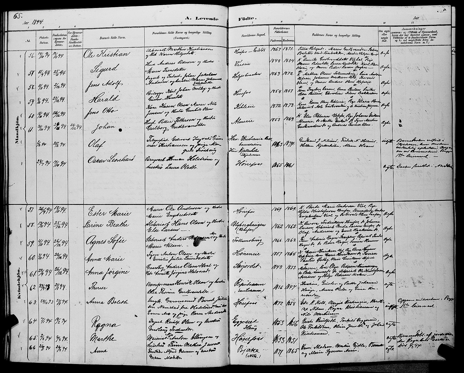 Hønefoss kirkebøker, AV/SAKO-A-609/G/Ga/L0002: Parish register (copy) no. 2, 1888-1904, p. 65