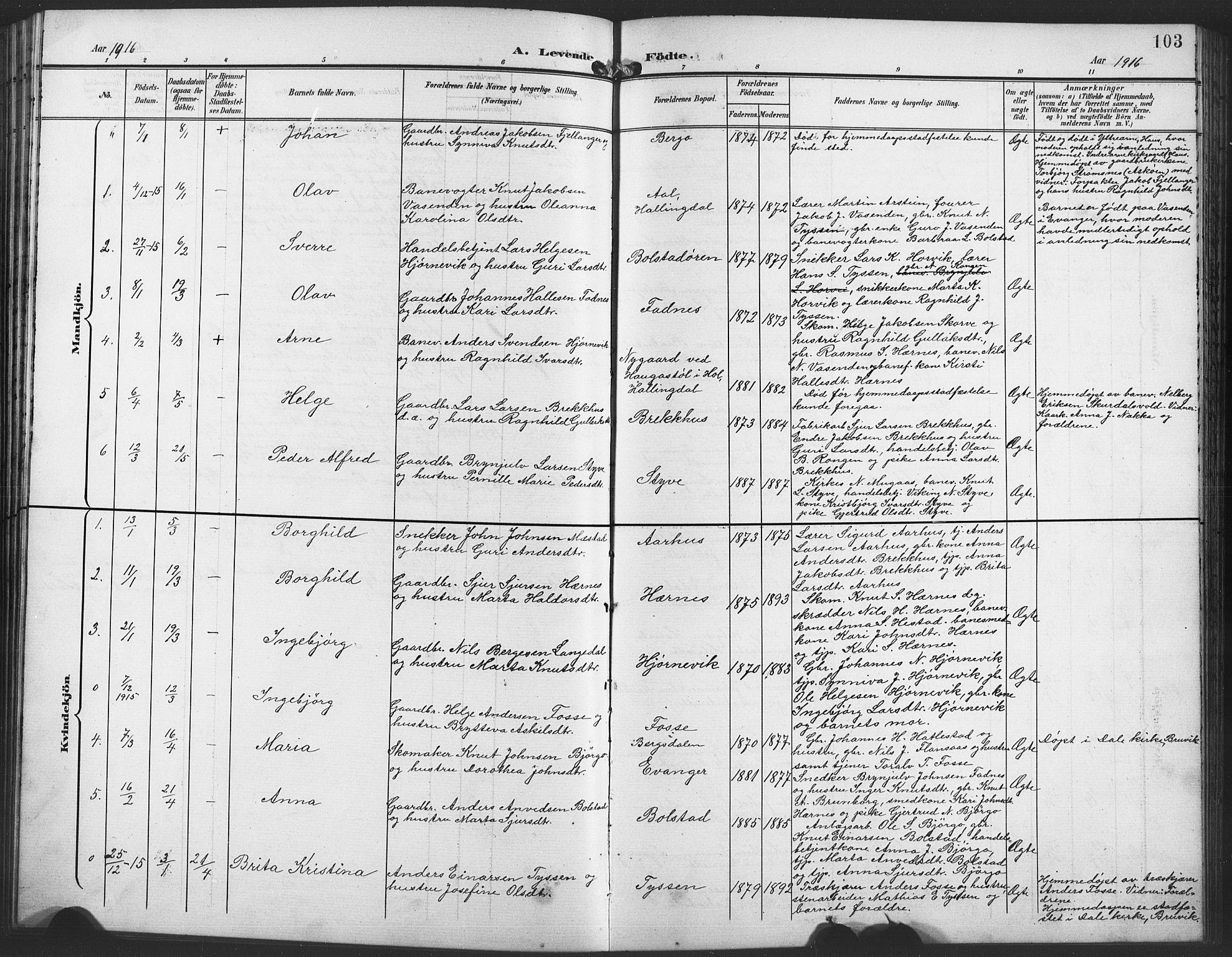Evanger sokneprestembete, SAB/A-99924: Parish register (copy) no. A 5, 1897-1917, p. 103