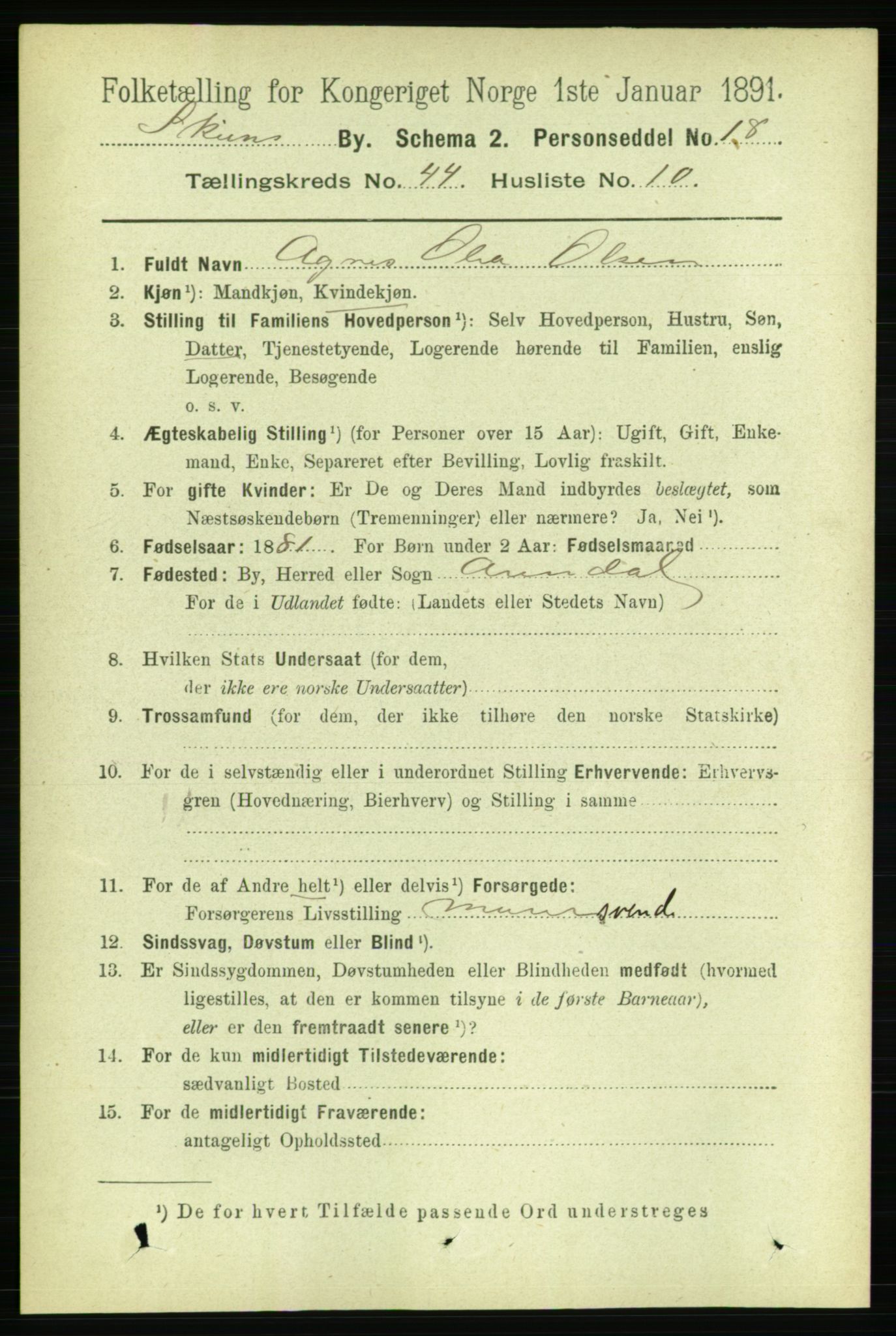 RA, 1891 census for 0806 Skien, 1891, p. 8886