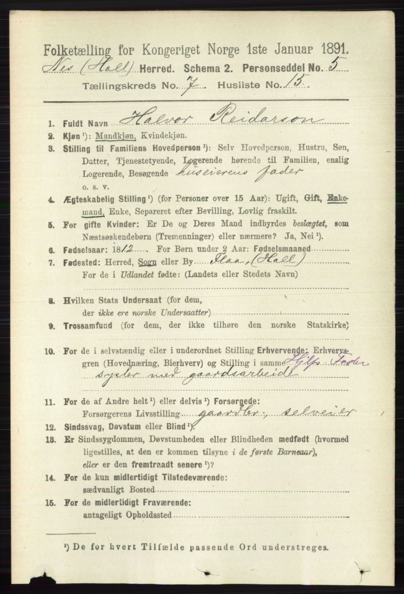 RA, 1891 census for 0616 Nes, 1891, p. 3686