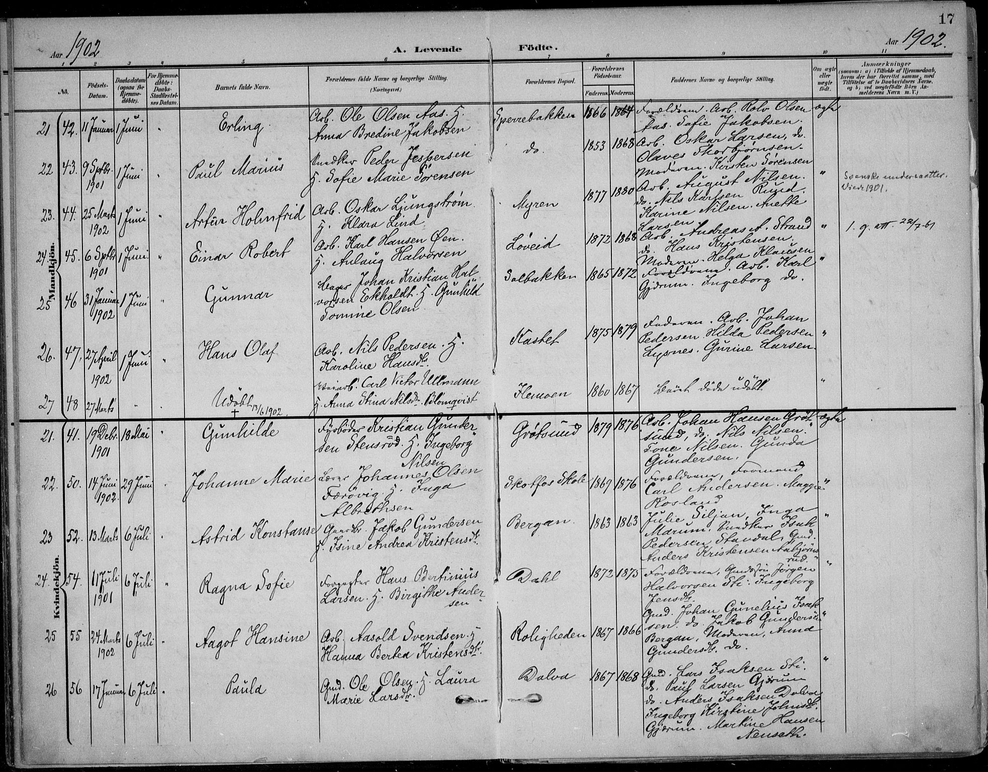 Solum kirkebøker, AV/SAKO-A-306/F/Fb/L0003: Parish register (official) no. II 3, 1901-1912, p. 17