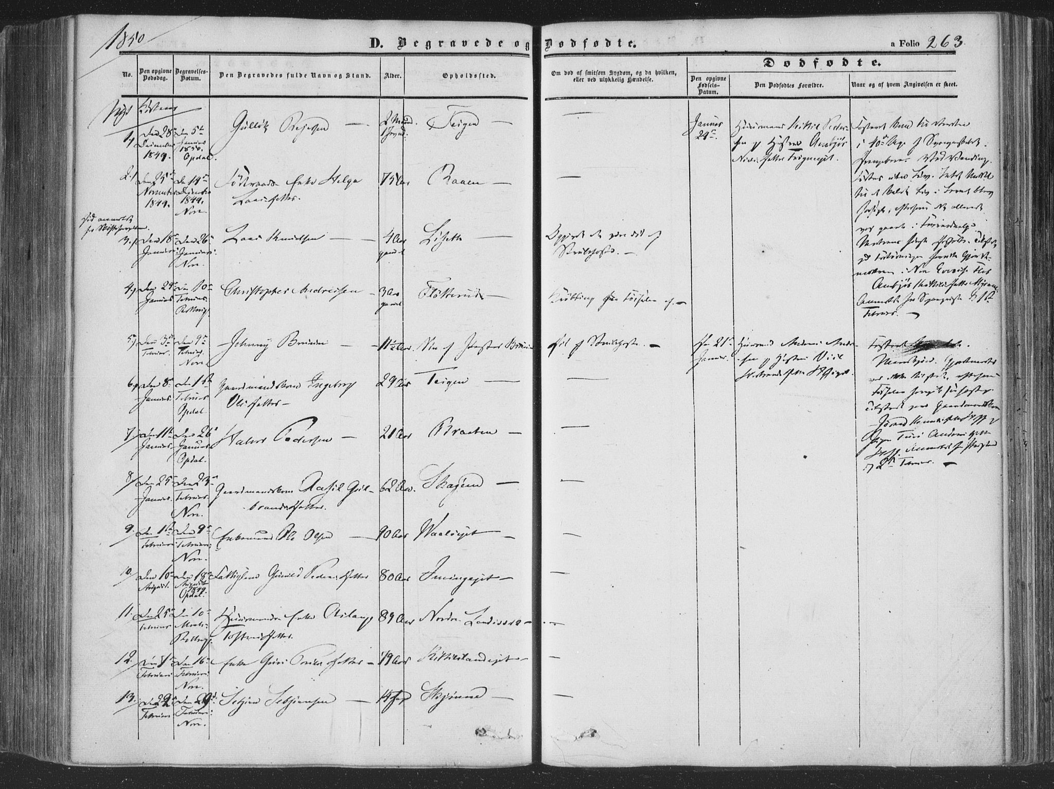 Rollag kirkebøker, SAKO/A-240/F/Fa/L0008: Parish register (official) no. I 8, 1847-1860, p. 263