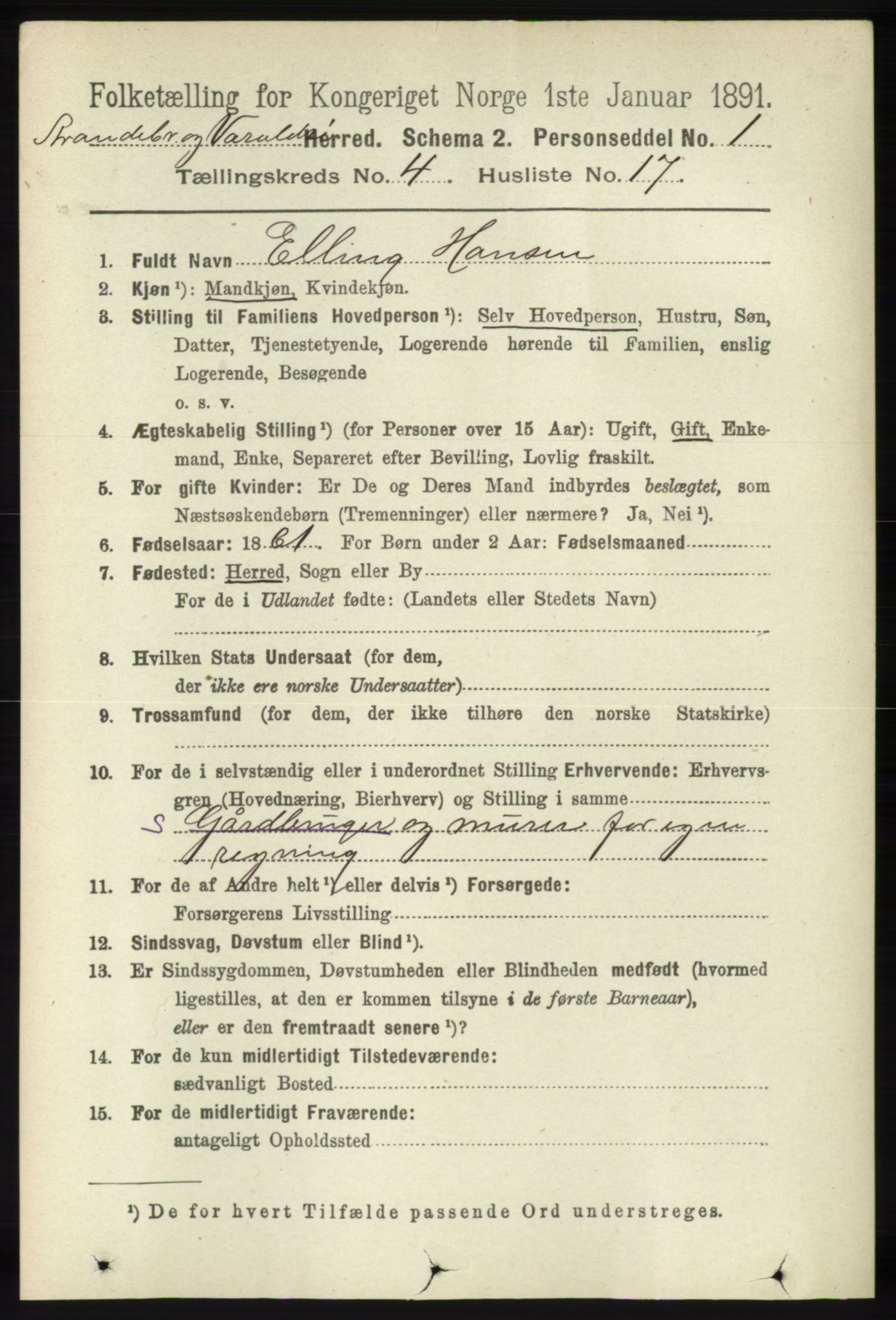 RA, 1891 census for 1226 Strandebarm og Varaldsøy, 1891, p. 1538