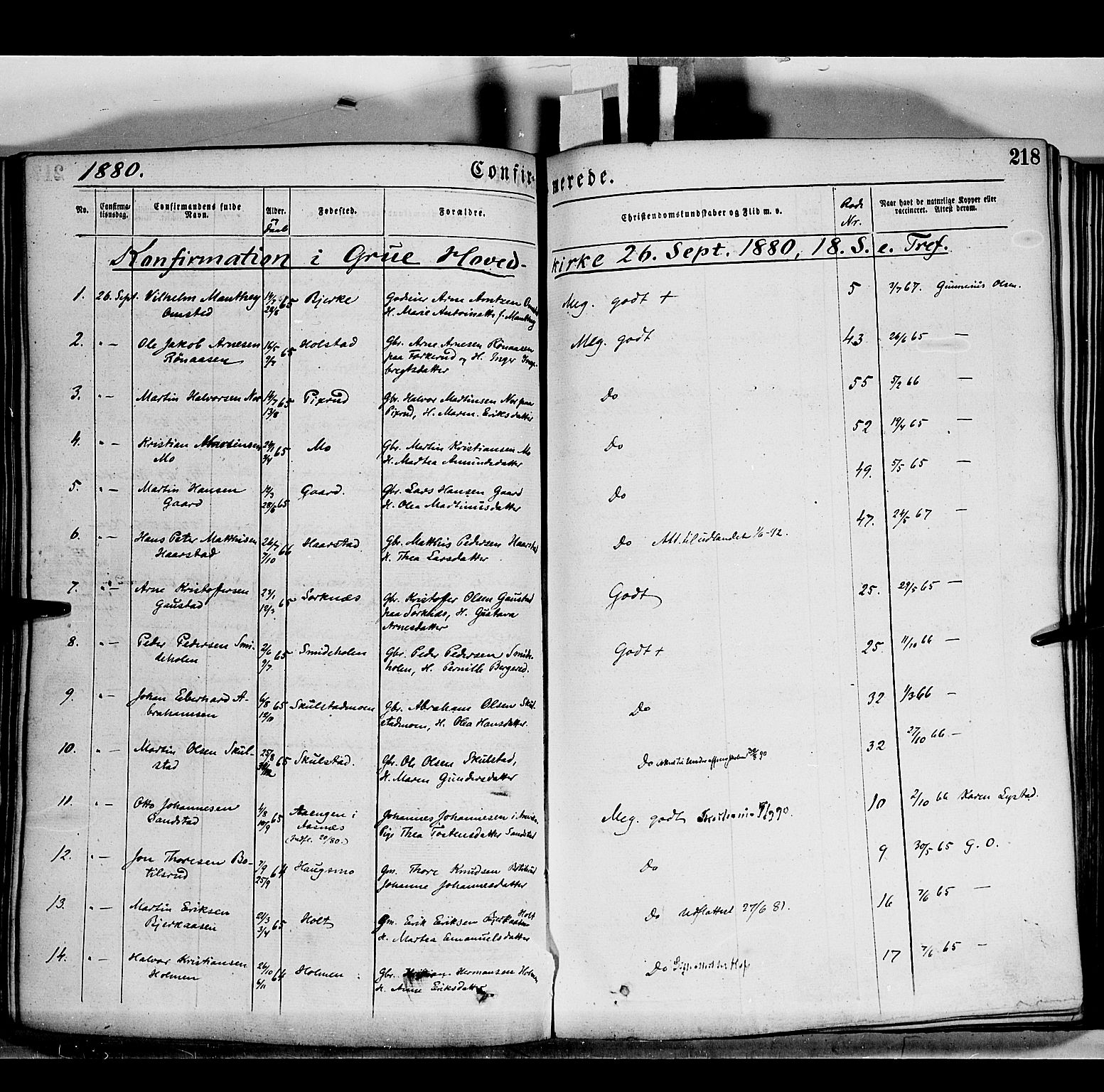 Grue prestekontor, SAH/PREST-036/H/Ha/Haa/L0011: Parish register (official) no. 11, 1873-1880, p. 218