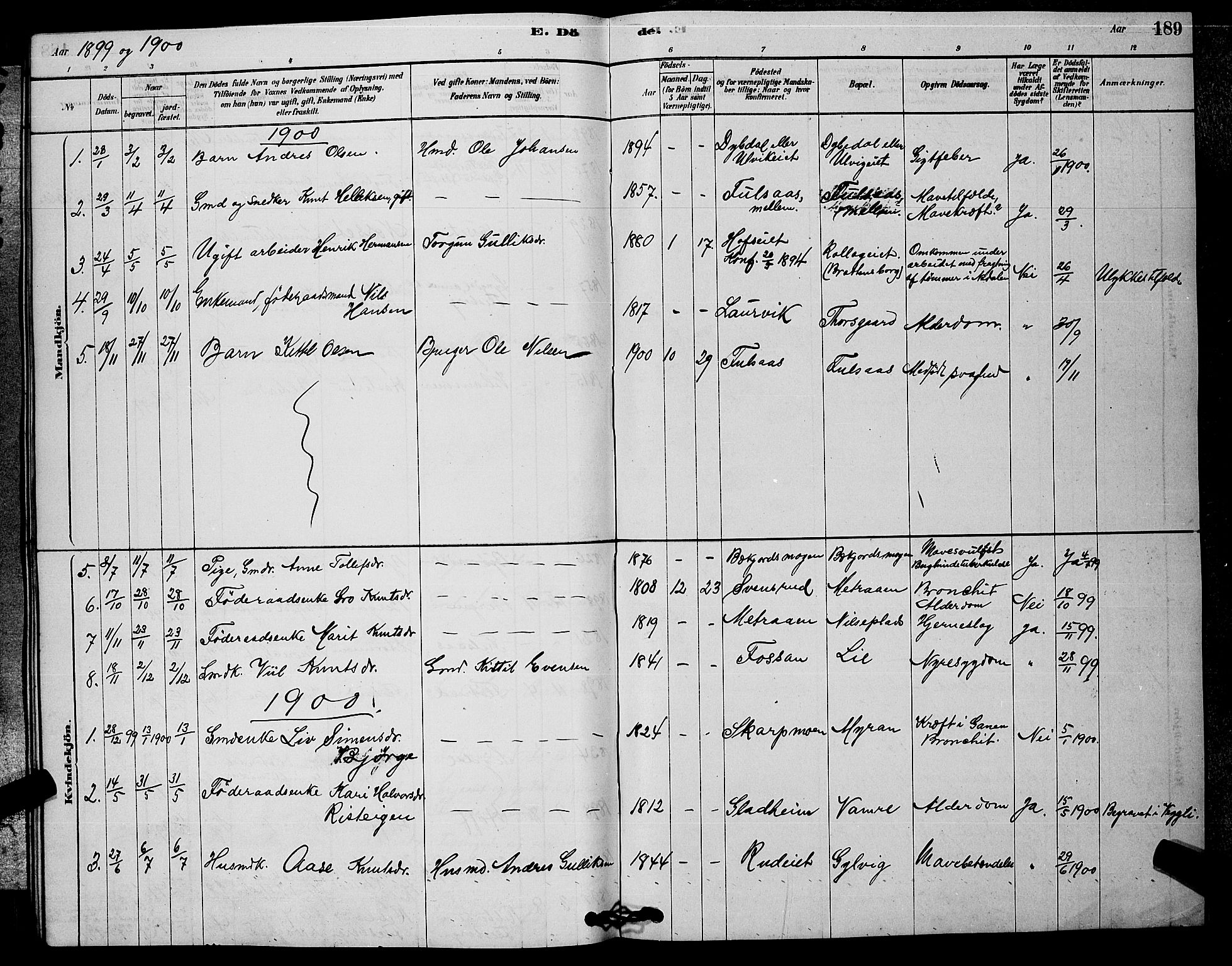 Rollag kirkebøker, AV/SAKO-A-240/G/Ga/L0004: Parish register (copy) no. I 4, 1878-1903, p. 189