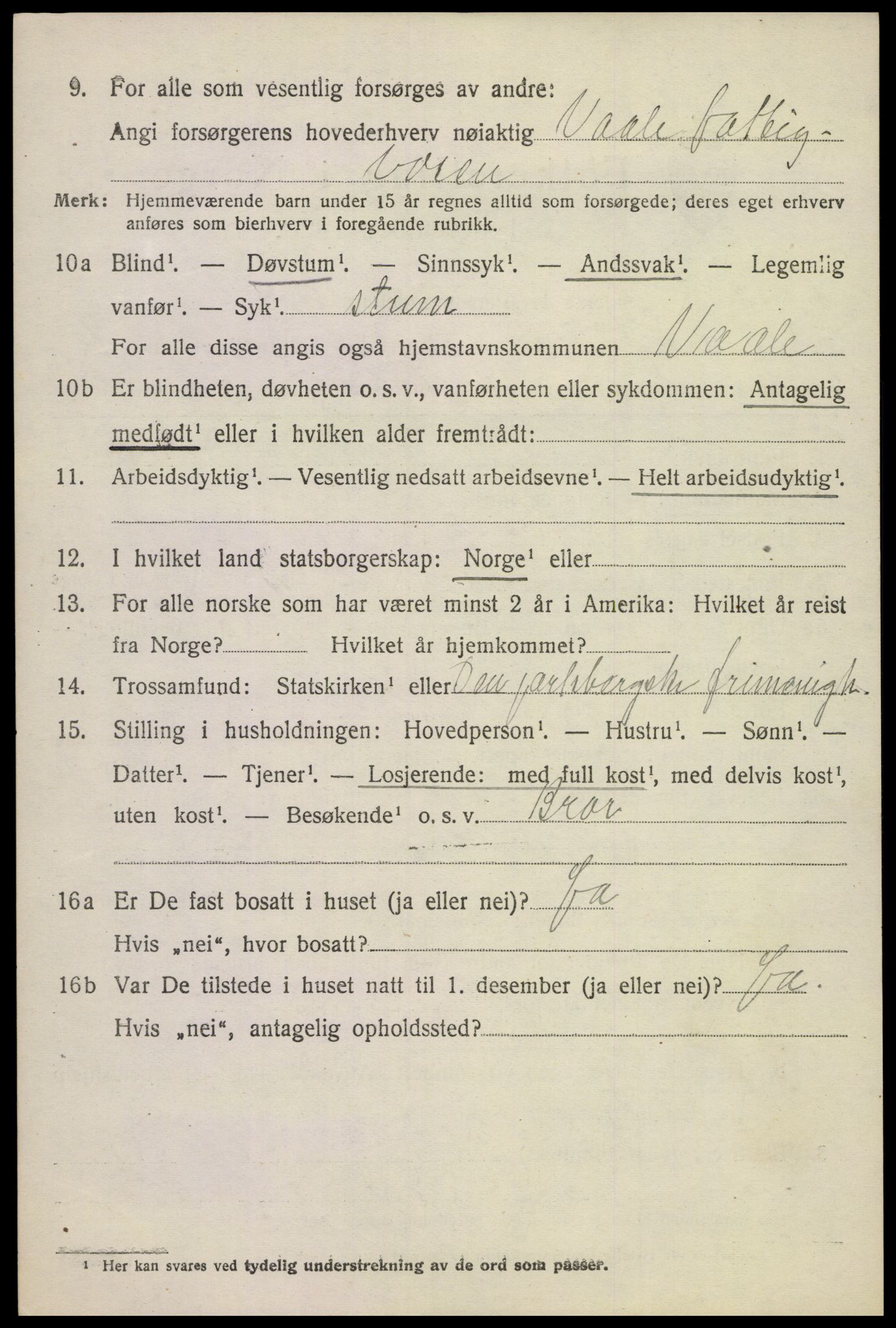 SAKO, 1920 census for Våle, 1920, p. 1285