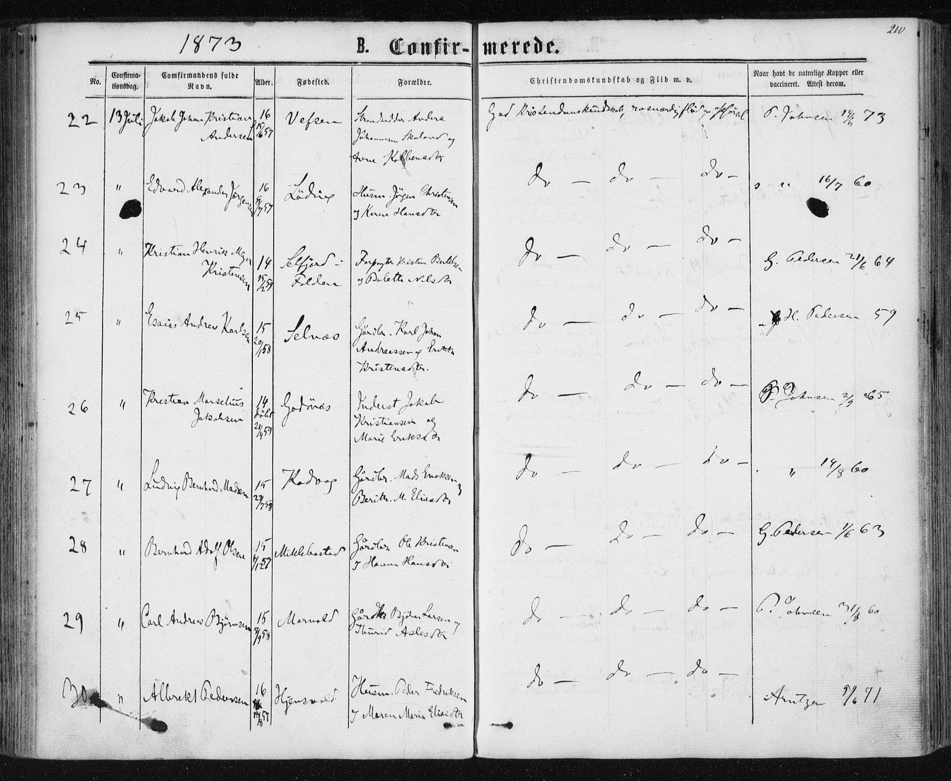 Ministerialprotokoller, klokkerbøker og fødselsregistre - Nordland, AV/SAT-A-1459/801/L0008: Parish register (official) no. 801A08, 1864-1875, p. 210