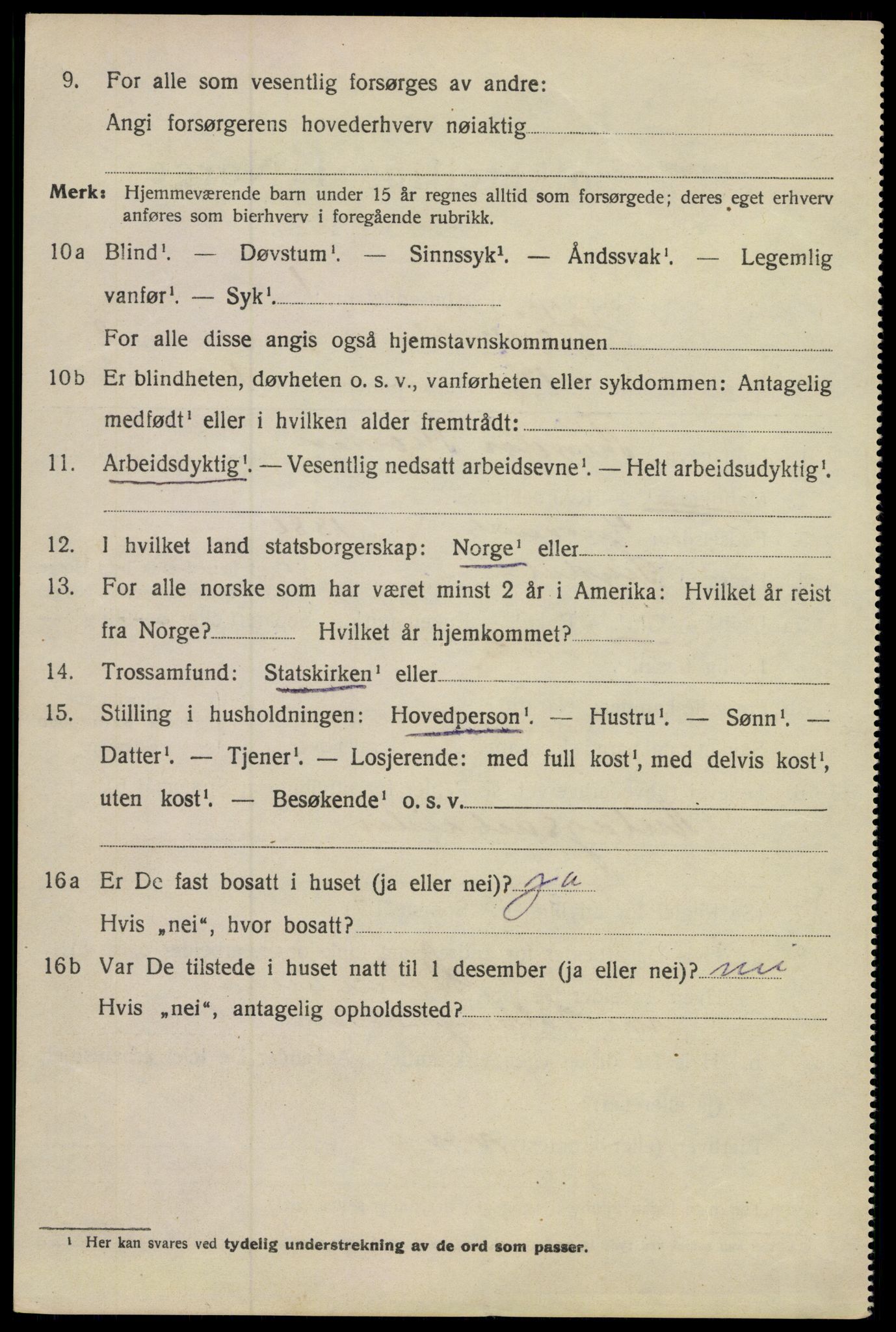 SAKO, 1920 census for Hønefoss, 1920, p. 4075