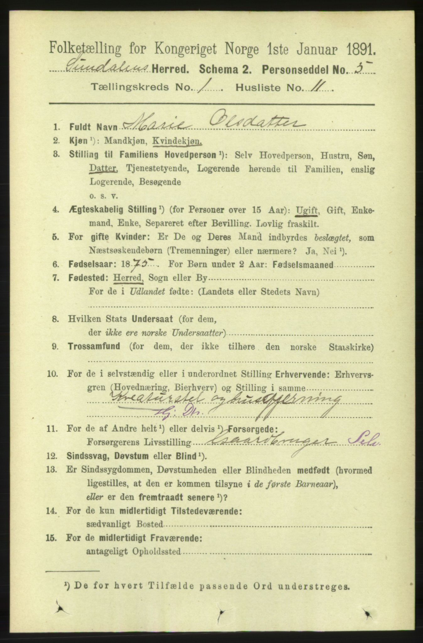 RA, 1891 census for 1563 Sunndal, 1891, p. 115