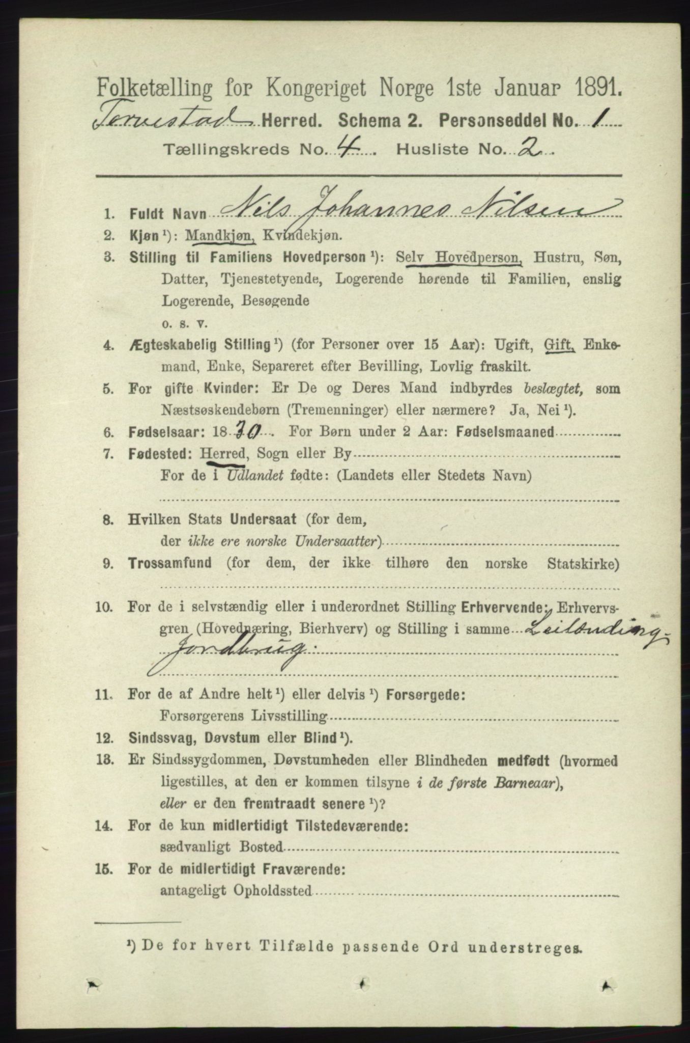 RA, 1891 census for 1152 Torvastad, 1891, p. 1479