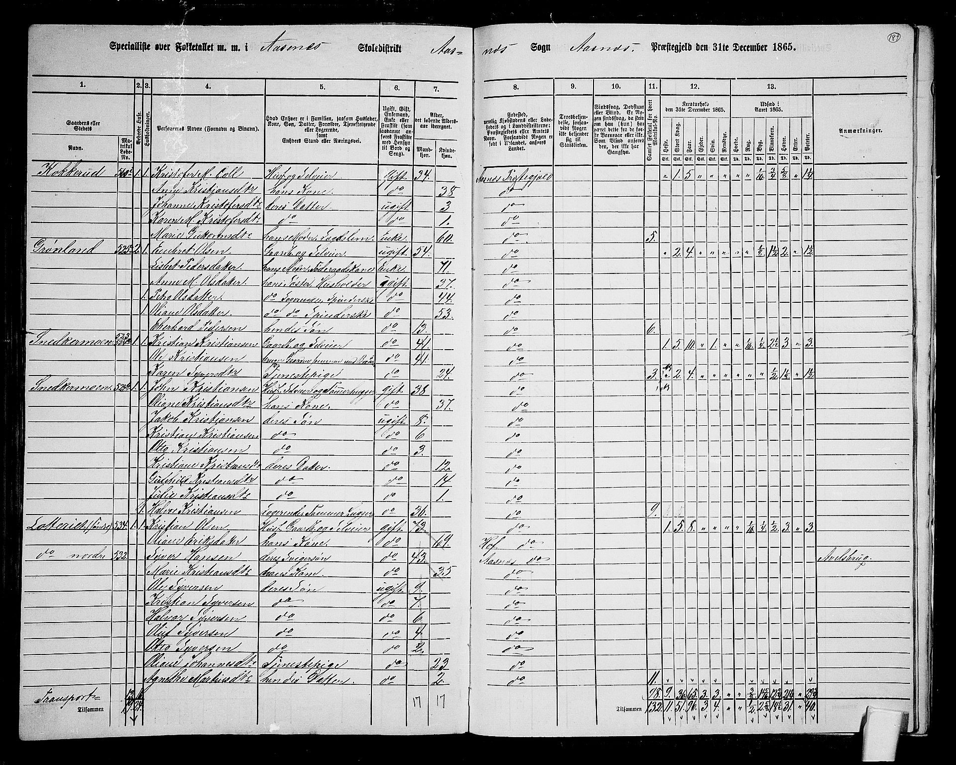 RA, 1865 census for Åsnes, 1865, p. 173