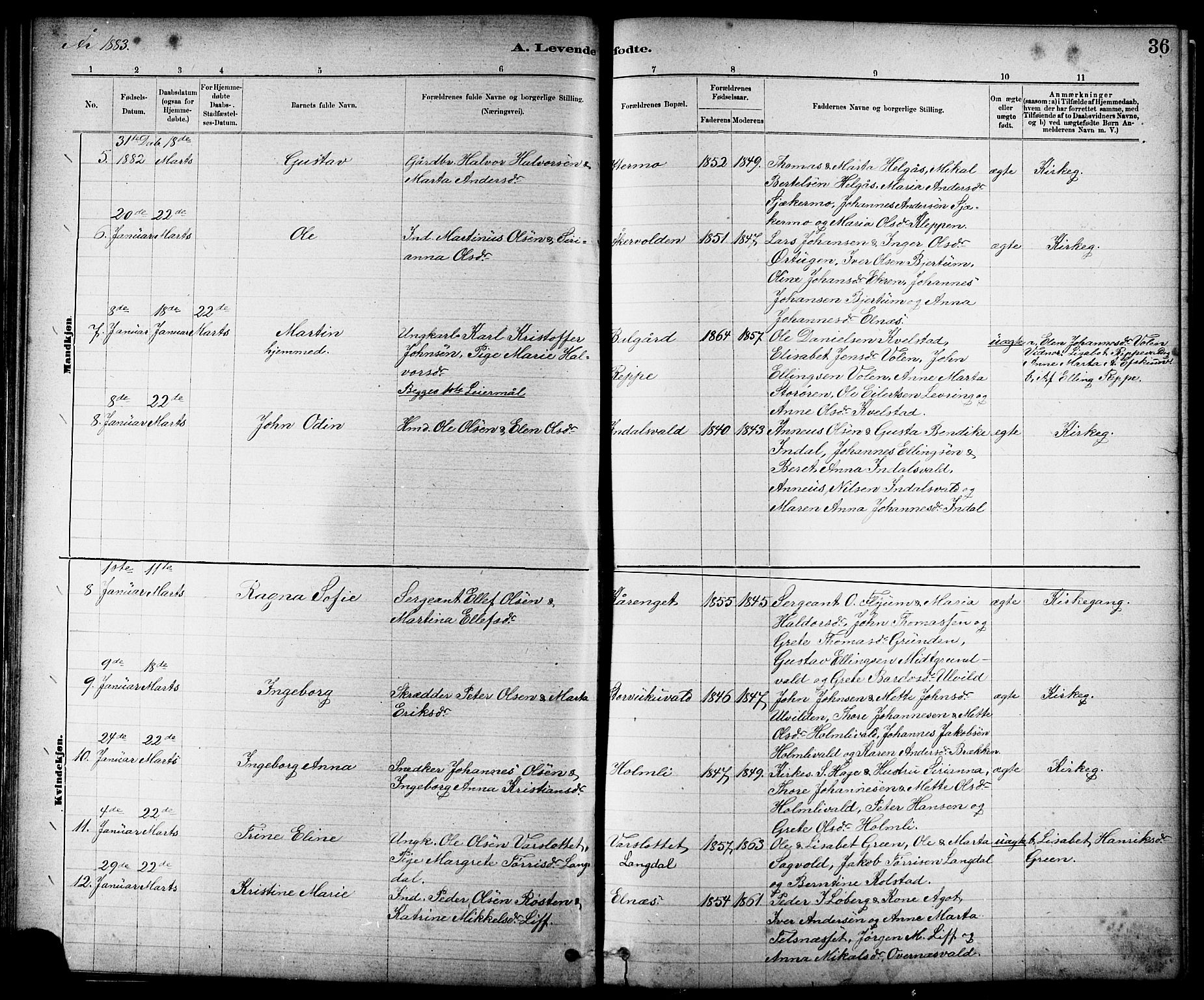 Ministerialprotokoller, klokkerbøker og fødselsregistre - Nord-Trøndelag, AV/SAT-A-1458/724/L0267: Parish register (copy) no. 724C03, 1879-1898, p. 36