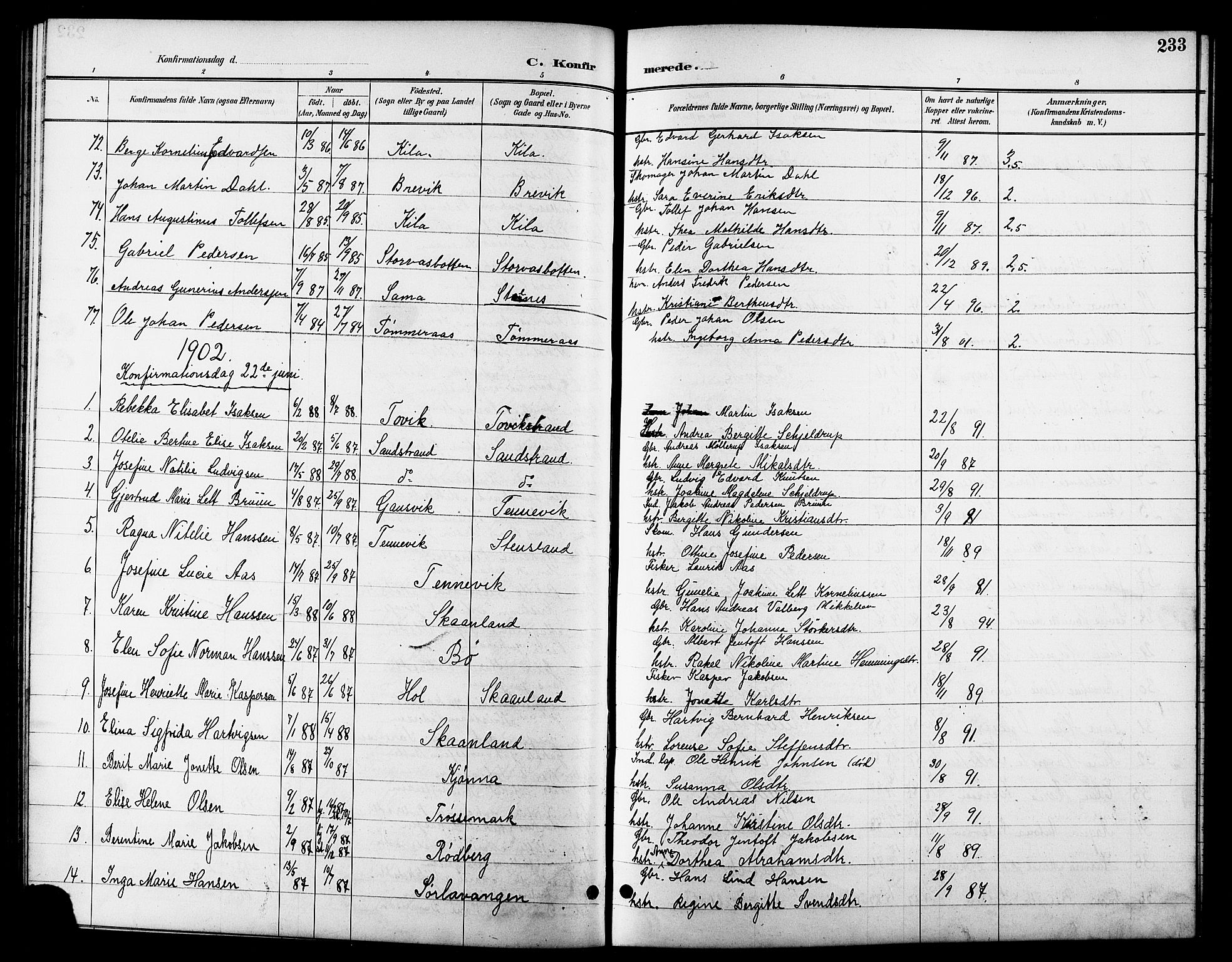 Trondenes sokneprestkontor, SATØ/S-1319/H/Hb/L0011klokker: Parish register (copy) no. 11, 1891-1906, p. 233