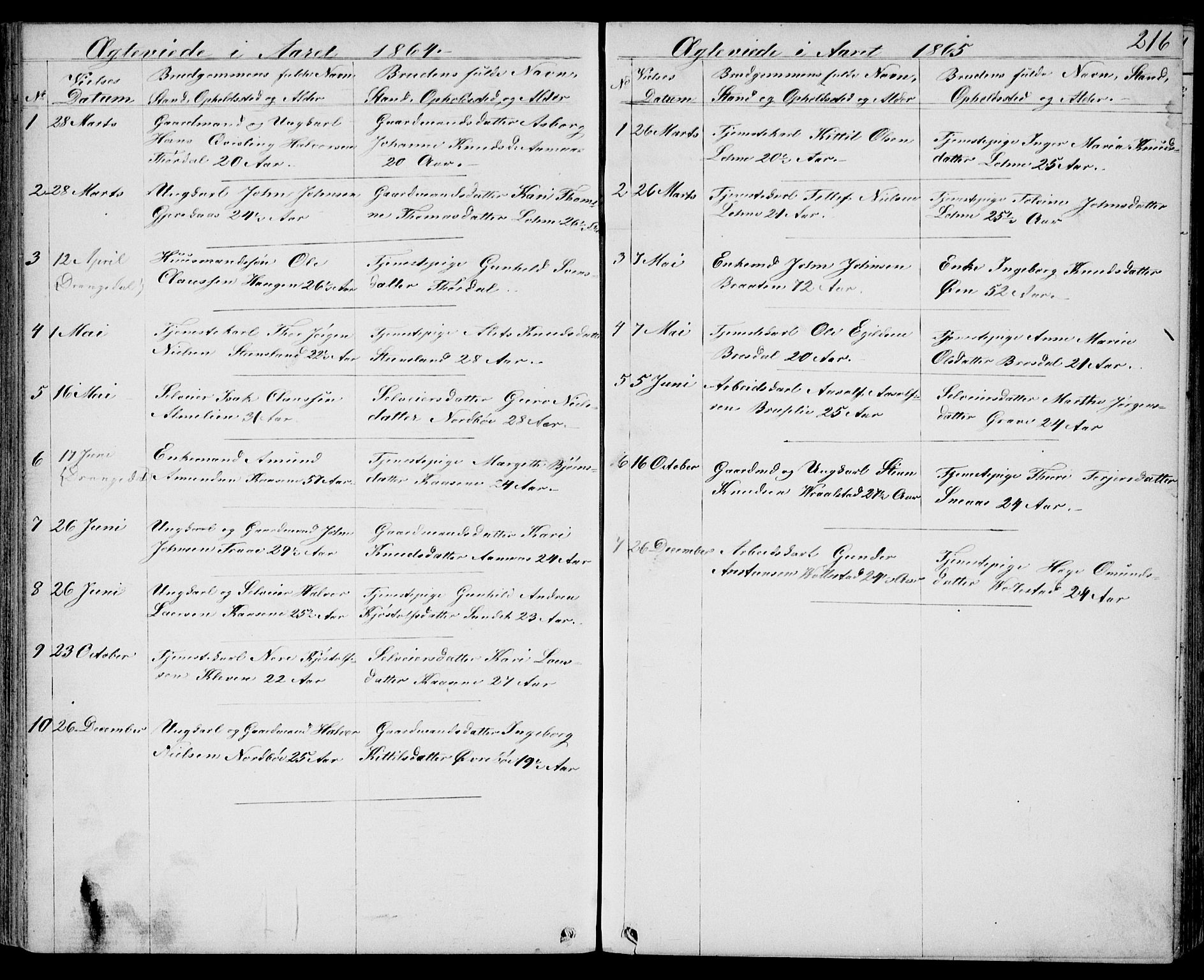 Drangedal kirkebøker, SAKO/A-258/G/Gb/L0001: Parish register (copy) no. II 1, 1856-1894, p. 216
