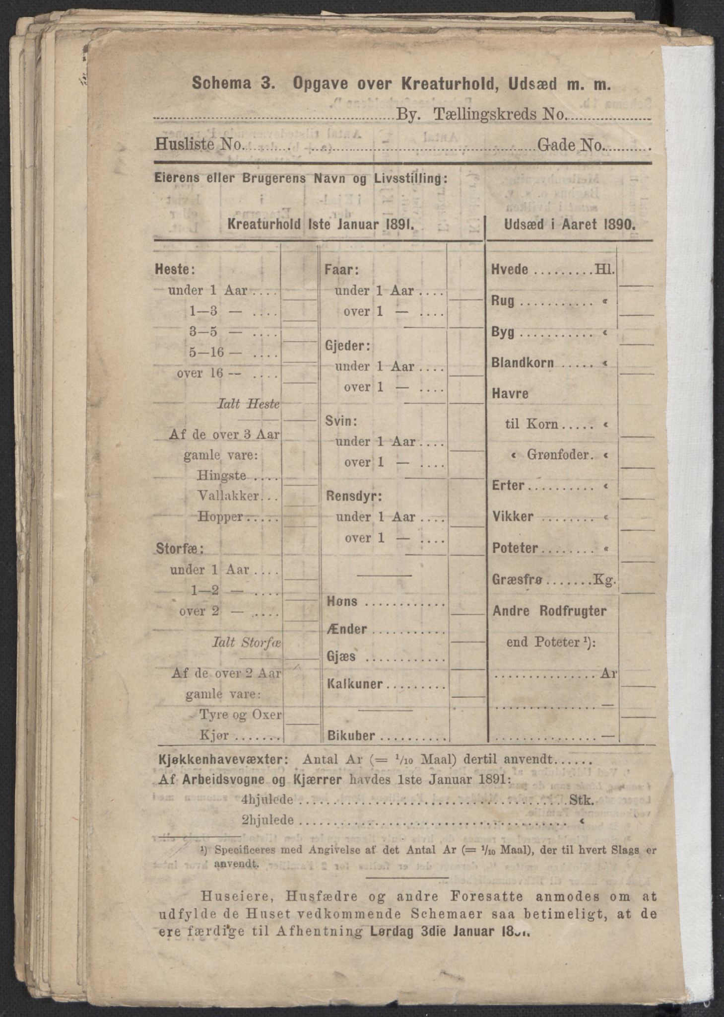 RA, 1891 Census for 1301 Bergen, 1891, p. 4693